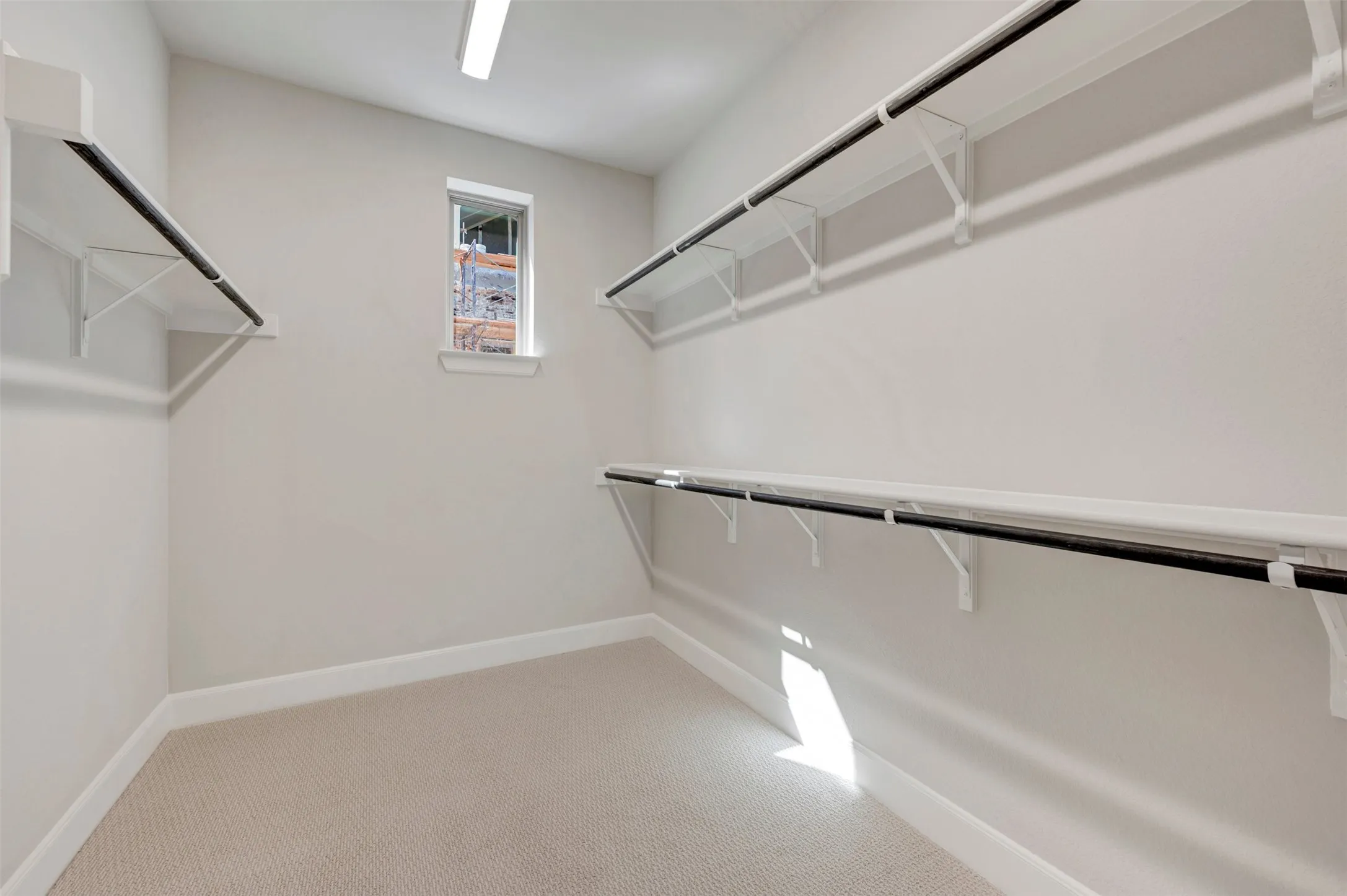 Walk-in closet with carpet flooring, window, and built-in shelving and hanging rods