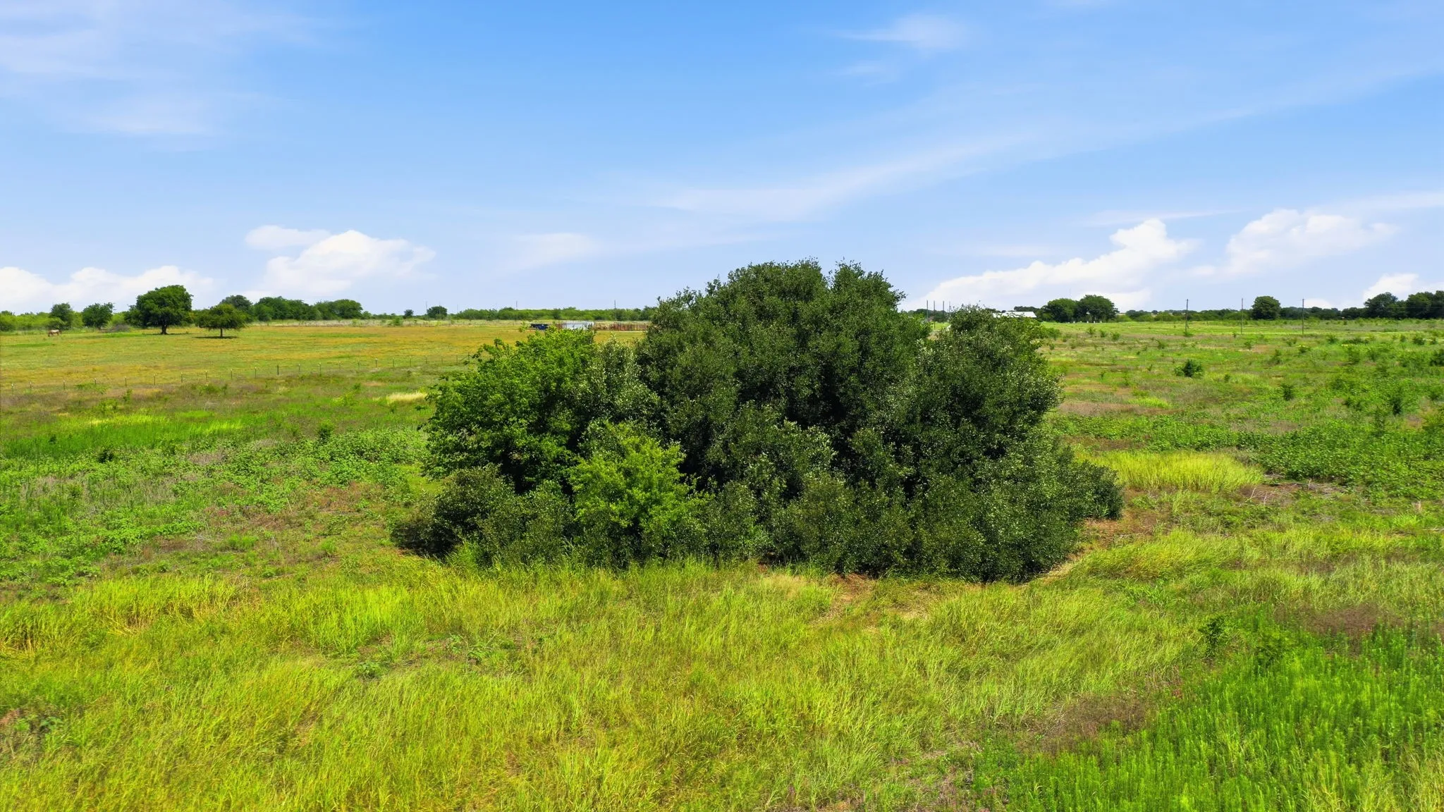 Unimproved Land For Sale in Hill County , TBD Lot 95 PR 191, Blum, Texas 76627, 0, 0, Garage spaces, 0 Sqft, built in 0, Price $200,000, mls#21315850, Real Estate Agent in Blum, Homes For Sale in Hill county, Homes For Sale in Blum, Realtor in Blum Texas, Real Estate Brokerage Independent Realty Texas, Luminita Cordes Realtor