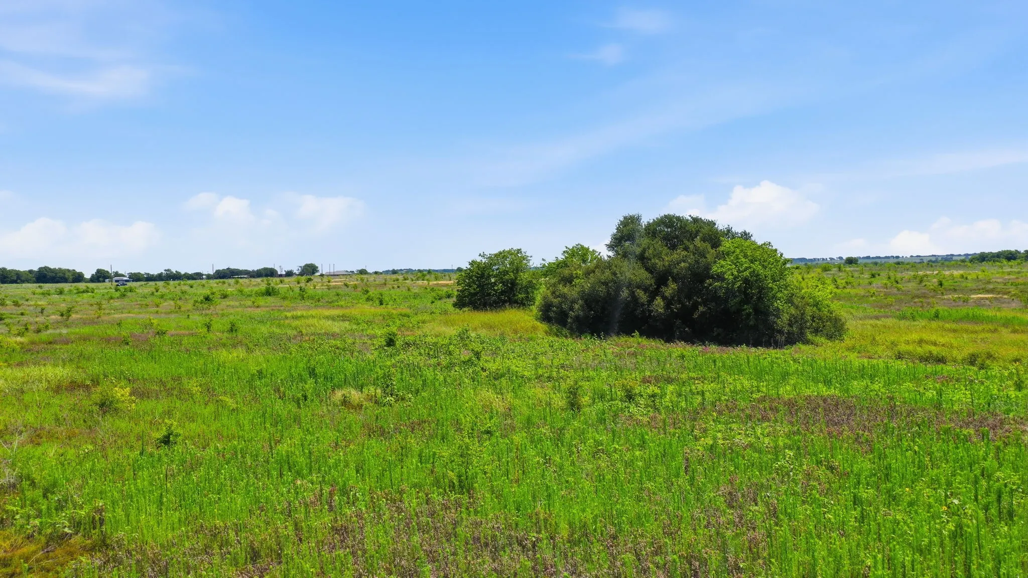 Unimproved Land For Sale in Hill County , TBD Lot 95 PR 191, Blum, Texas 76627, 0, 0, Garage spaces, 0 Sqft, built in 0, Price $200,000, mls#21315850, Real Estate Agent in Blum, Homes For Sale in Hill county, Homes For Sale in Blum, Realtor in Blum Texas, Real Estate Brokerage Independent Realty Texas, Luminita Cordes Realtor