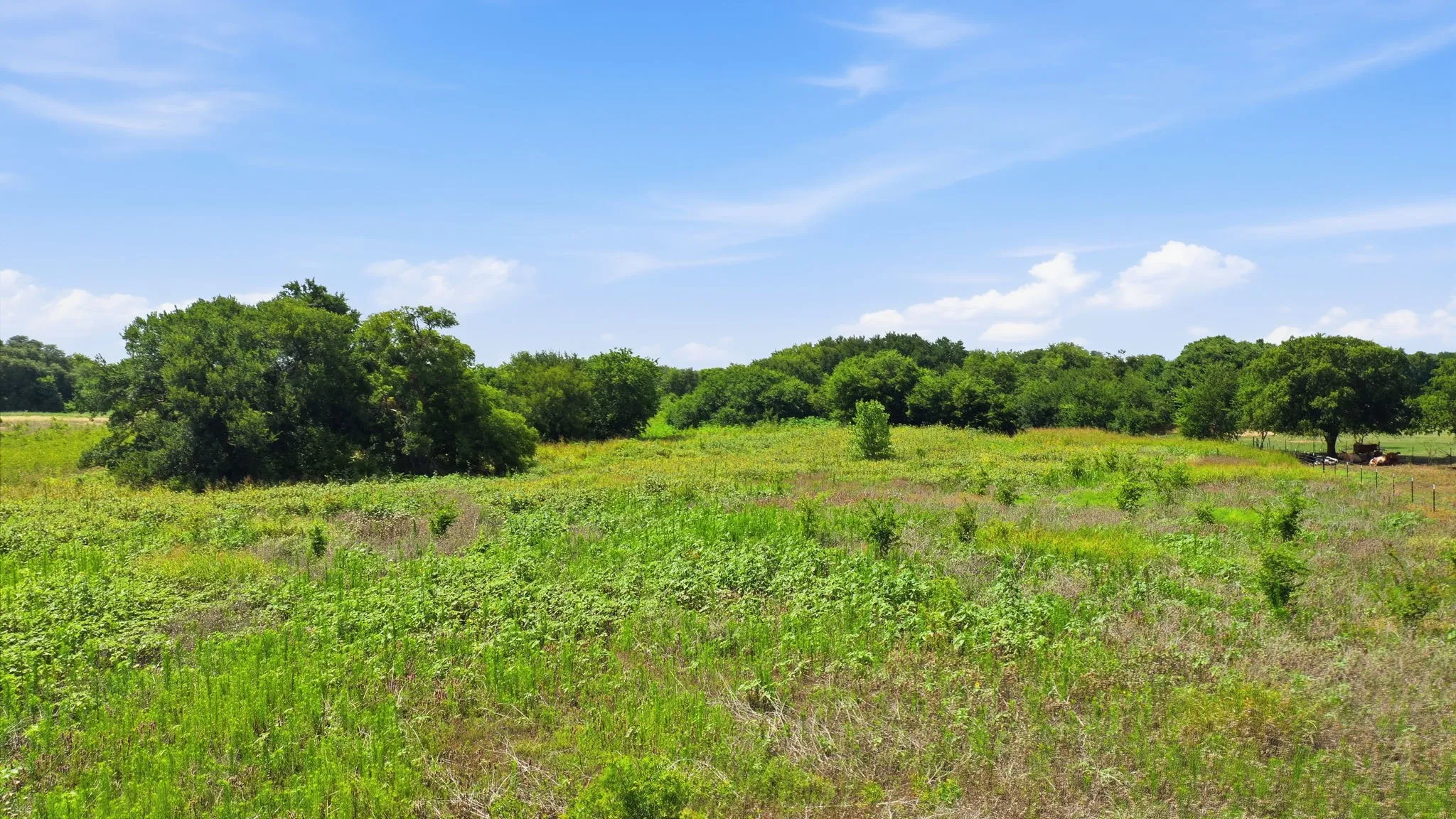 Unimproved Land For Sale in Hill County , TBD Lot 95 PR 191, Blum, Texas 76627, 0, 0, Garage spaces, 0 Sqft, built in 0, Price $200,000, mls#21315850, Real Estate Agent in Blum, Homes For Sale in Hill county, Homes For Sale in Blum, Realtor in Blum Texas, Real Estate Brokerage Independent Realty Texas, Luminita Cordes Realtor