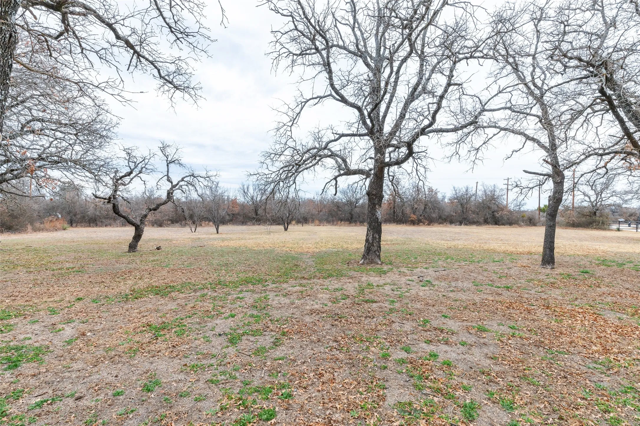 Single Family Residence For Sale in Callahan County , 9259 County Road 258, Clyde, Texas 79510, 4 Bedroom, 3 Bathroom, Garage spaces, 2,156 Sqft, built in 1977, mls#21315874, Real Estate Agent in Clyde, Homes For Sale in Callahan county, Homes For Sale in Clyde, Realtor in Clyde Texas, Real Estate Brokerage Independent Realty Texas, Luminita Cordes Realtor