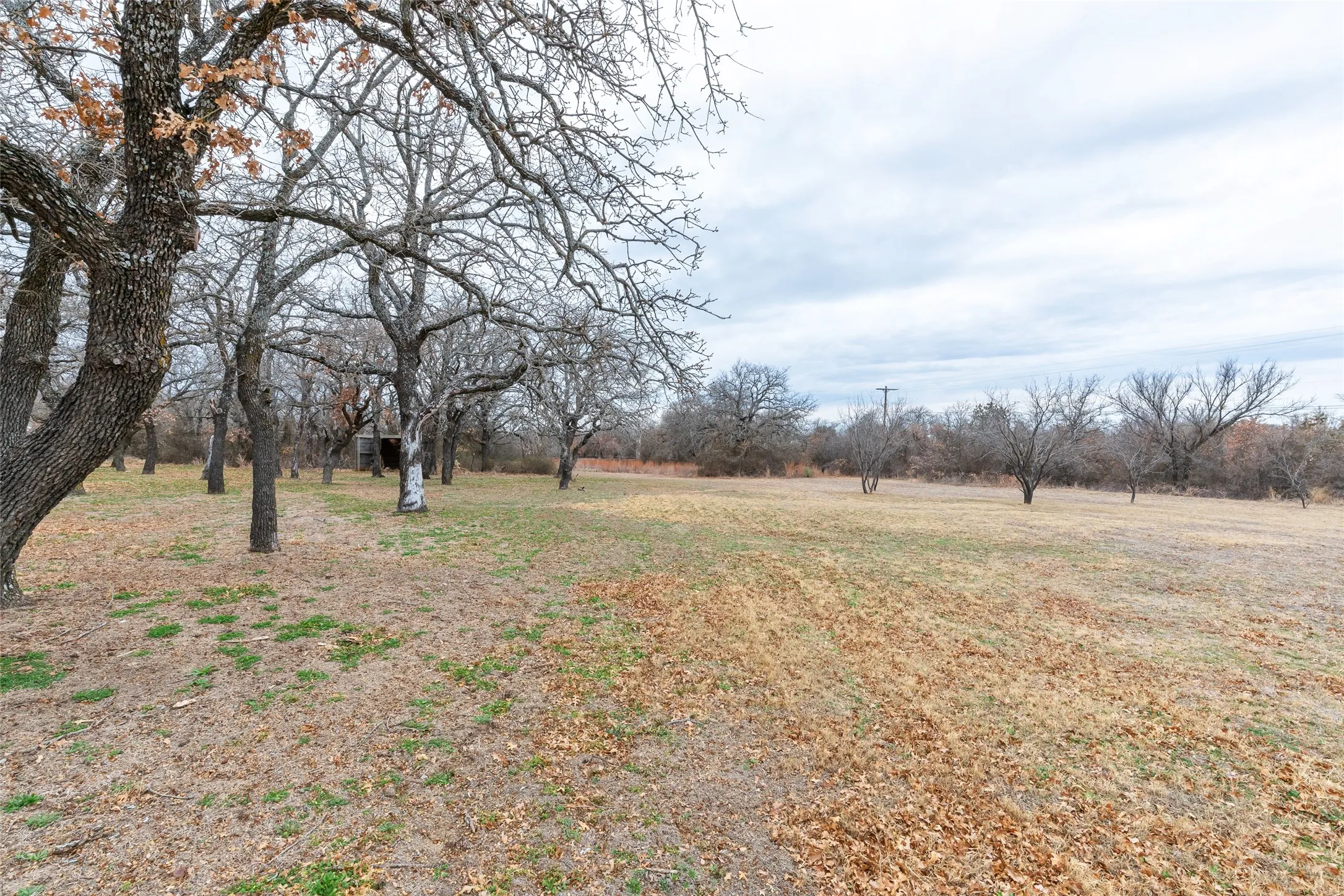 Single Family Residence For Sale in Callahan County , 9259 County Road 258, Clyde, Texas 79510, 4 Bedroom, 3 Bathroom, Garage spaces, 2,156 Sqft, built in 1977, mls#21315874, Real Estate Agent in Clyde, Homes For Sale in Callahan county, Homes For Sale in Clyde, Realtor in Clyde Texas, Real Estate Brokerage Independent Realty Texas, Luminita Cordes Realtor