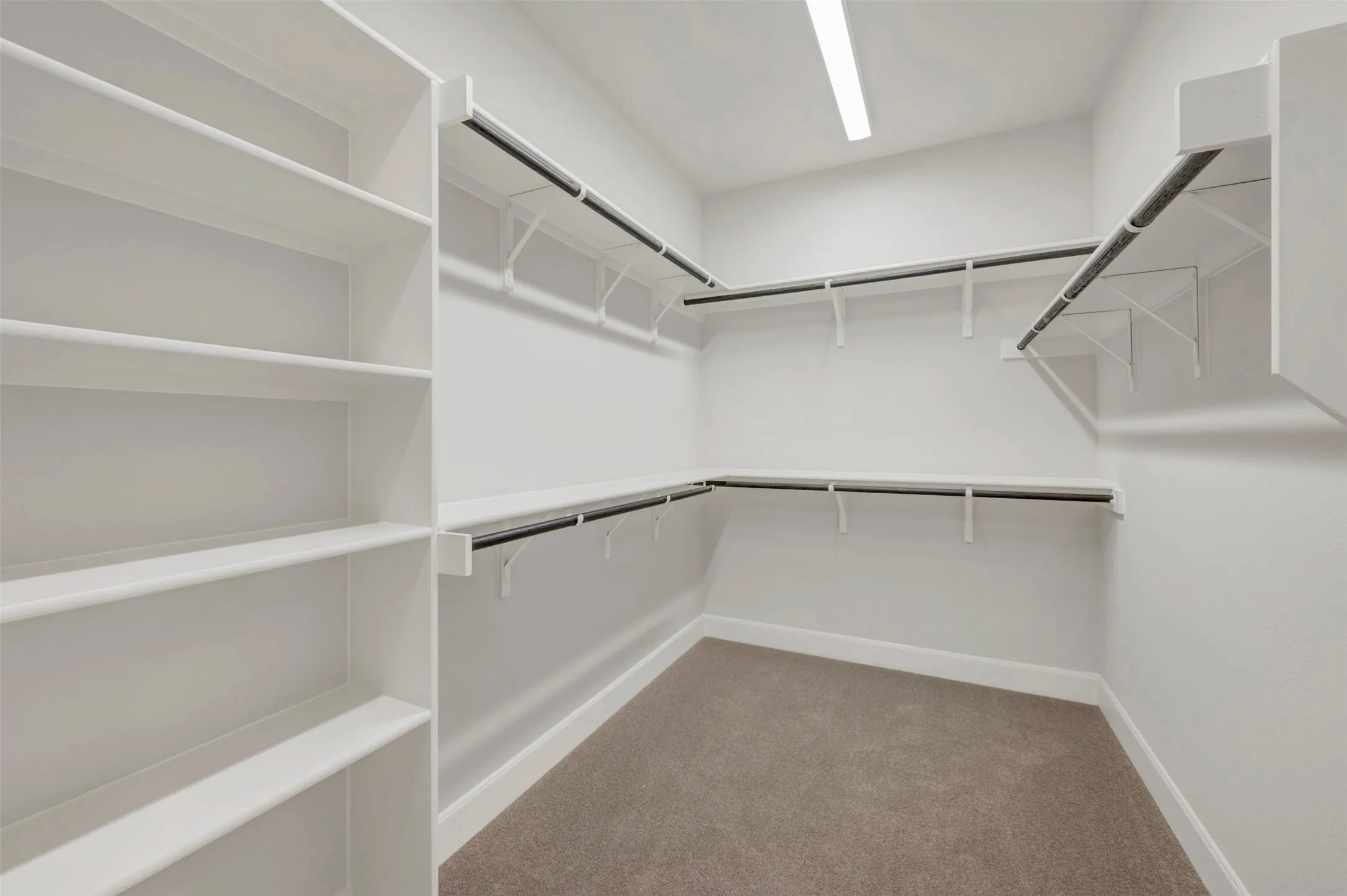 Built-in shelving, ample hanging rods, white walls, recessed ceiling light, and carpet flooring