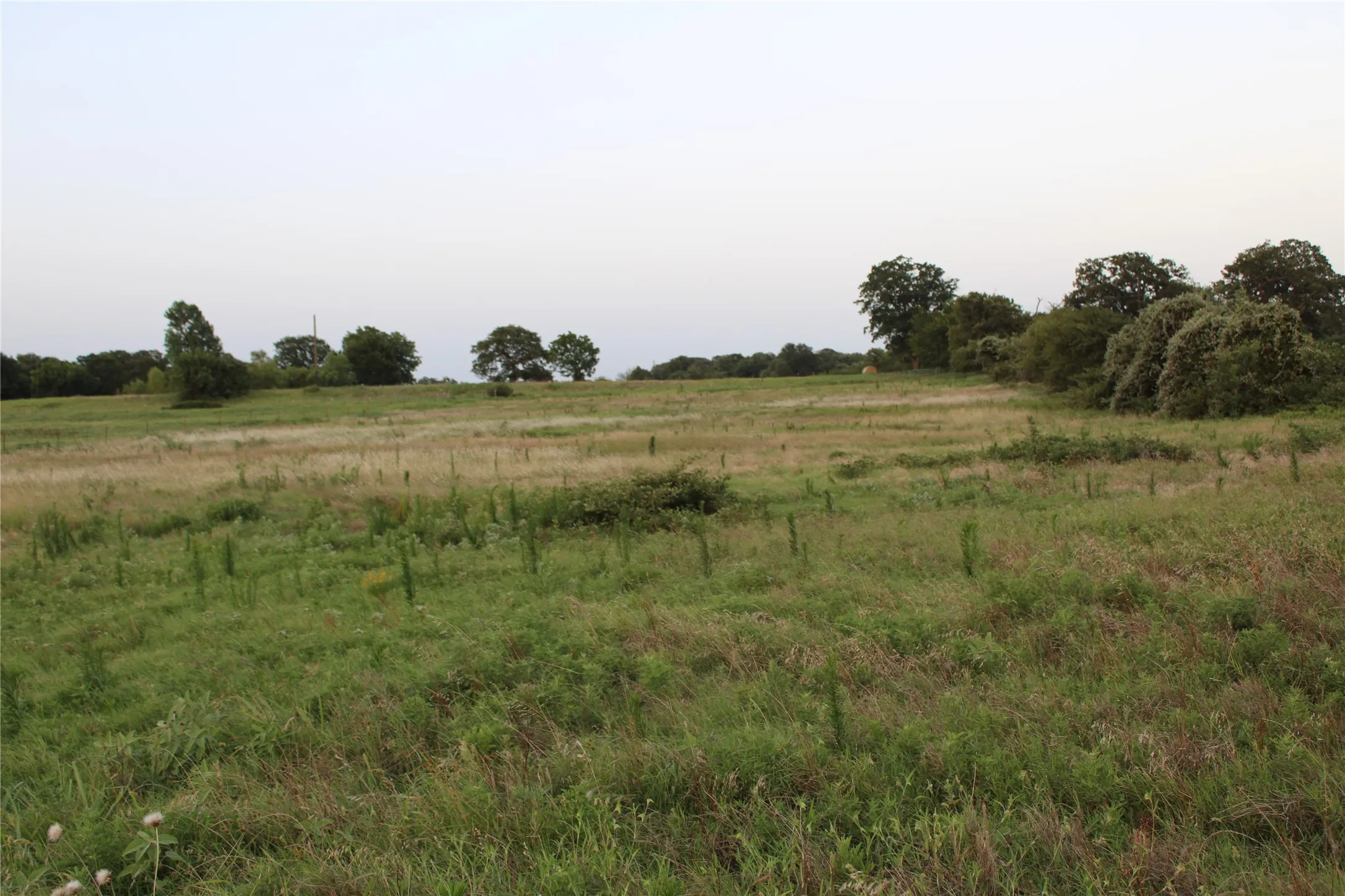 Single Family Residence For Sale in Parker County , 9612 West Highway 199, Poolville, Texas 76487, 3 Bedrooms, 2 Bathrooms, 2 Garage spaces, 1,620 Sqft, built in 2000, Price $549,000, mls#21315949, Real Estate Agent in Poolville, Homes For Sale in Parker county, Homes For Sale in Poolville, Realtor in Poolville Texas, Real Estate Brokerage Independent Realty Texas, Luminita Cordes Realtor