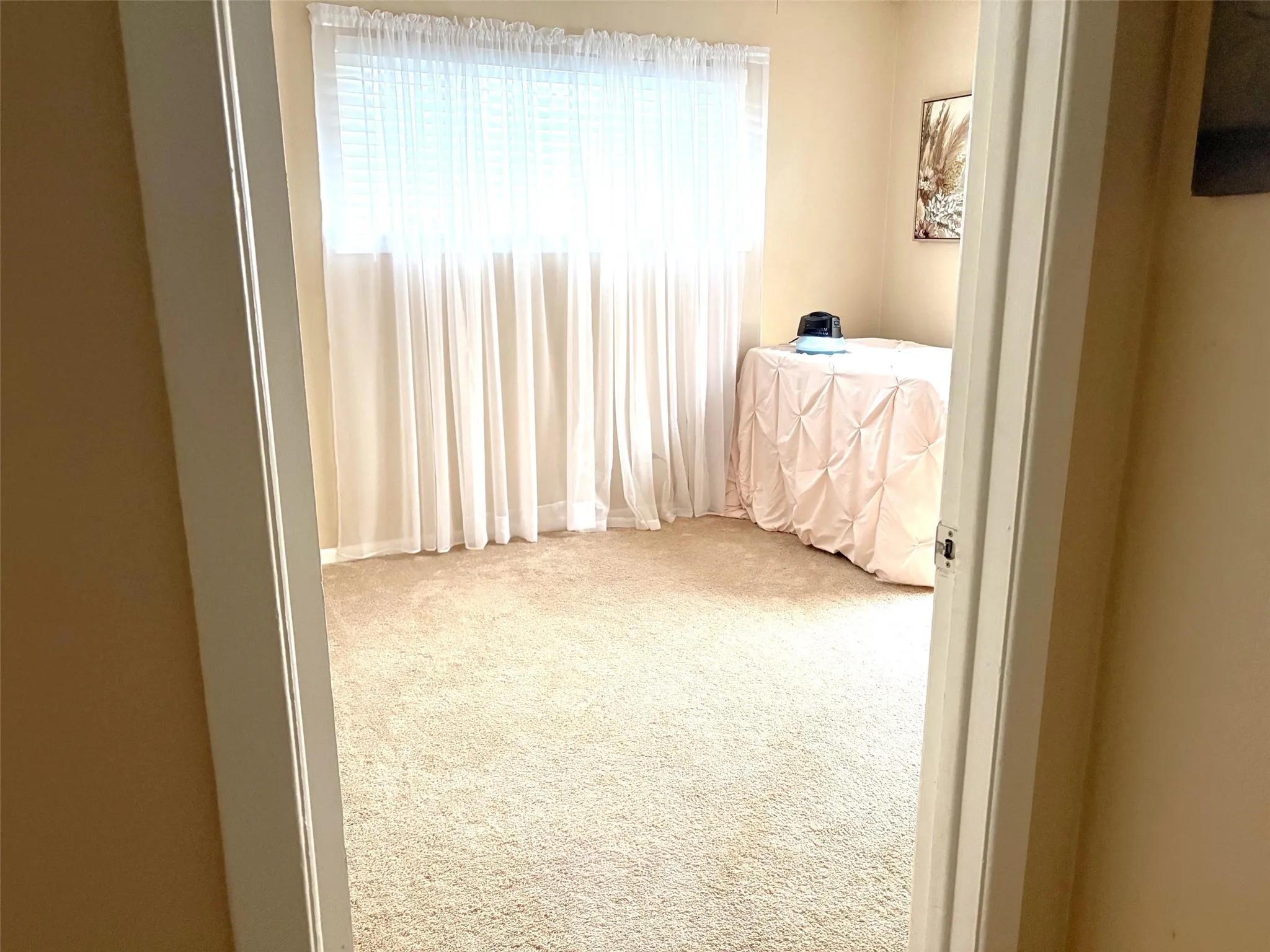 Carpeted room featuring a window with patterned drapes, and neutral-toned walls