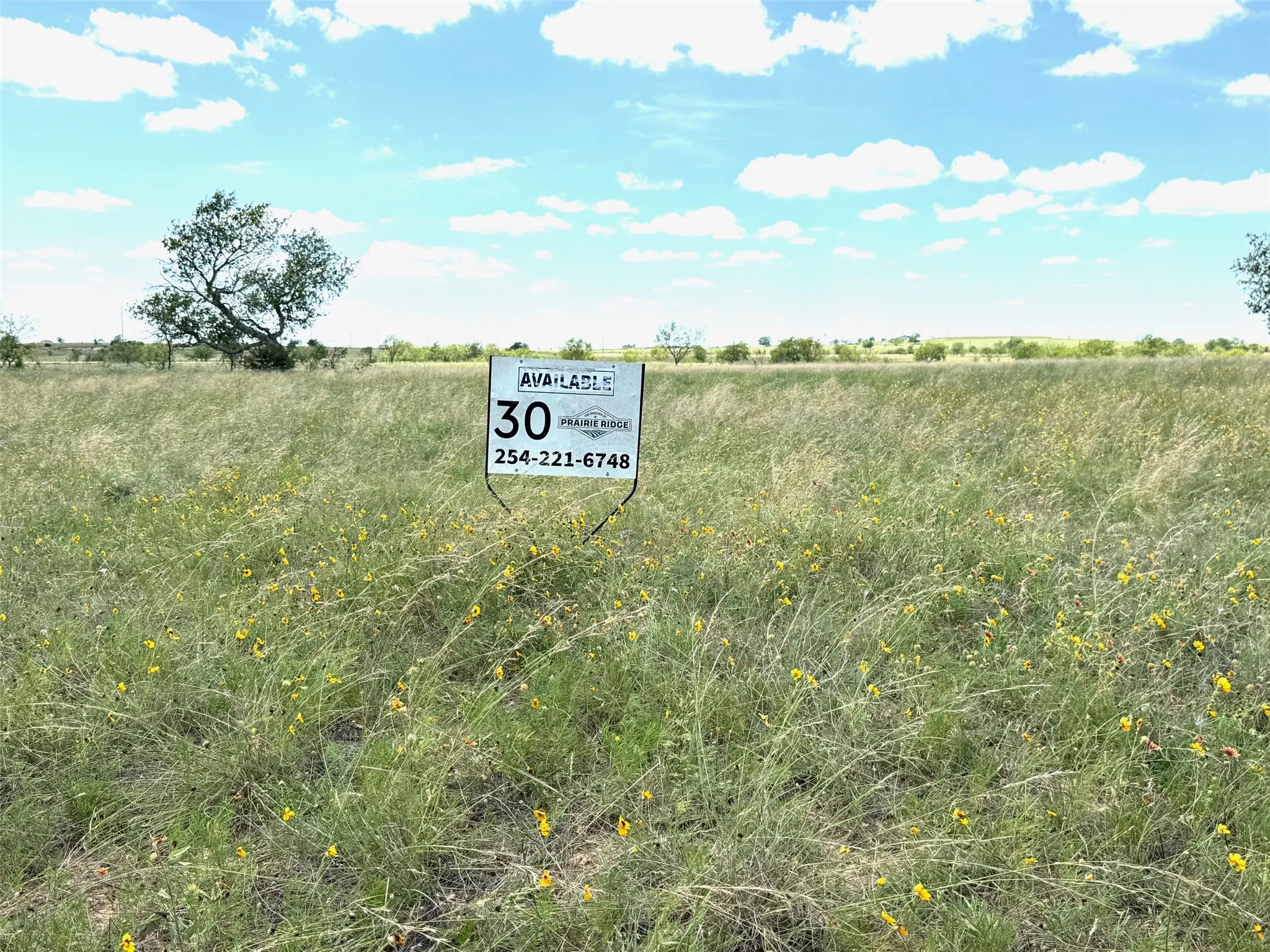 Unimproved Land For Sale in Hamilton County , Lot 30 PR 4311, Jonesboro, Texas 76538, 0, 0, Garage spaces, 0 Sqft, built in 0, Price $74,900, mls#21315922, Real Estate Agent in Jonesboro, Homes For Sale in Hamilton county, Homes For Sale in Jonesboro, Realtor in Jonesboro Texas, Real Estate Brokerage Independent Realty Texas, Luminita Cordes Realtor