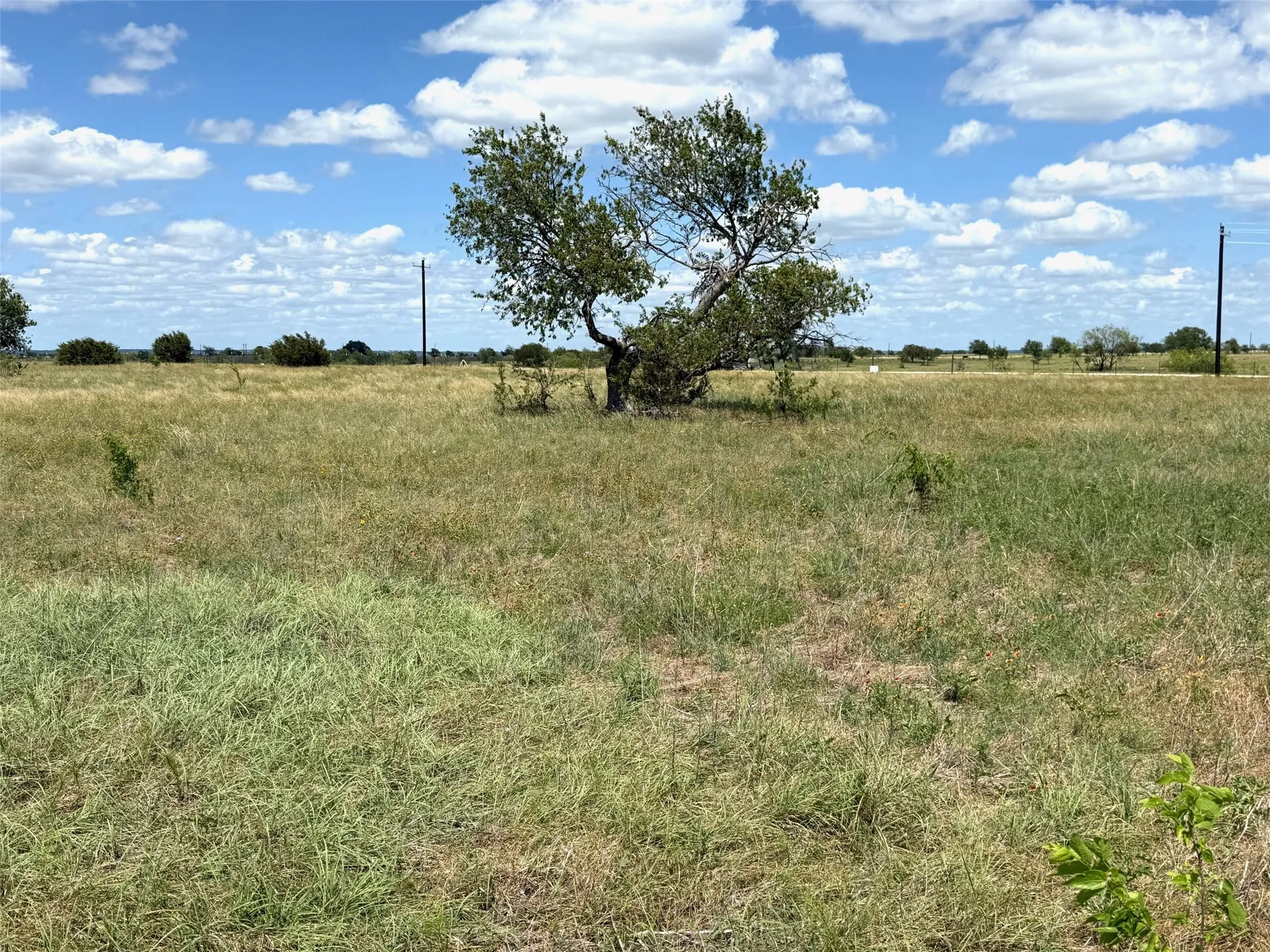 Unimproved Land For Sale in Hamilton County , Lot 30 PR 4311, Jonesboro, Texas 76538, 0, 0, Garage spaces, 0 Sqft, built in 0, Price $74,900, mls#21315922, Real Estate Agent in Jonesboro, Homes For Sale in Hamilton county, Homes For Sale in Jonesboro, Realtor in Jonesboro Texas, Real Estate Brokerage Independent Realty Texas, Luminita Cordes Realtor