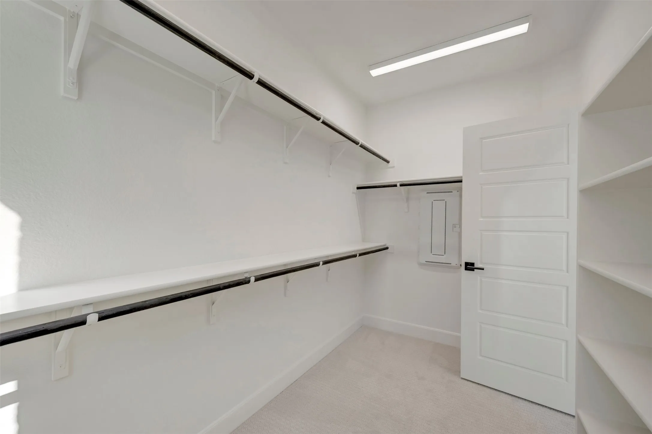 Walk-in closet featuring built-in shelving, hanging rods, and light-colored carpeting