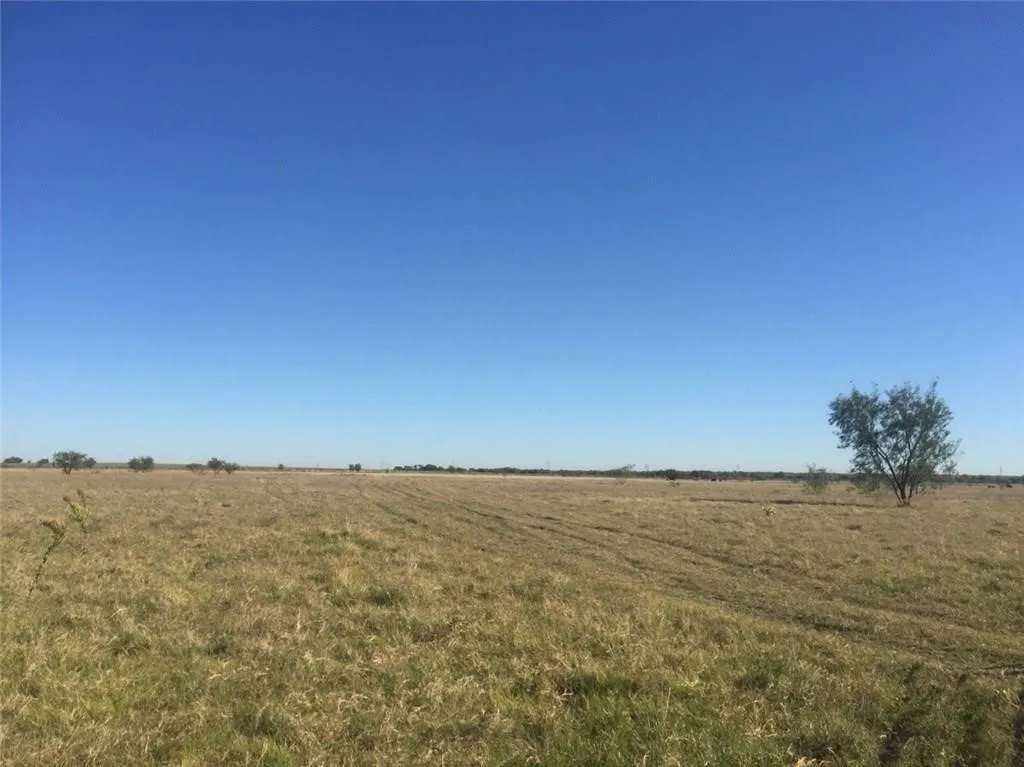 Unimproved Land For Sale in Grayson County , TBD Schumacher Road, Gunter, Texas 75058, 0, 0, Garage spaces, 0 Sqft, built in 0, mls#21315989, Real Estate Agent in Gunter, Homes For Sale in Grayson county, Homes For Sale in Gunter, Realtor in Gunter Texas, Real Estate Brokerage Independent Realty Texas, Luminita Cordes Realtor