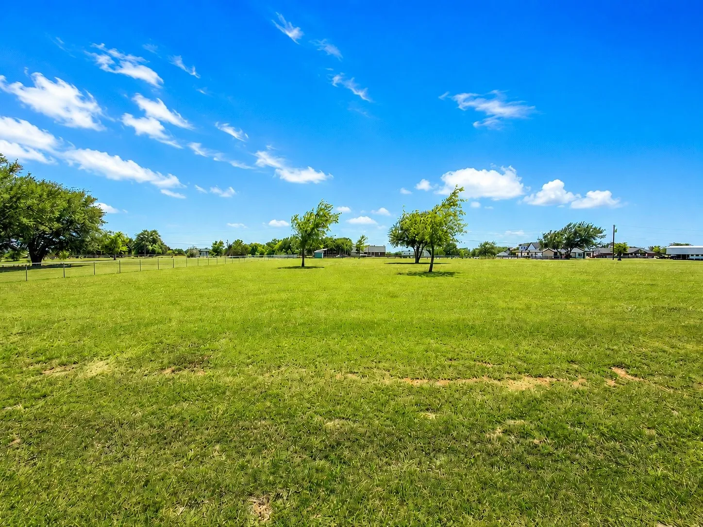 Expansive open field with green grass, mature trees, and a clear blue sky with white clouds