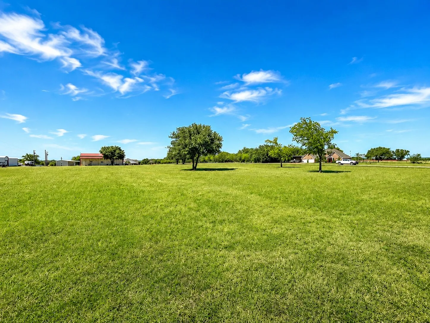 Expansive green field with scattered mature trees under a clear blue sky