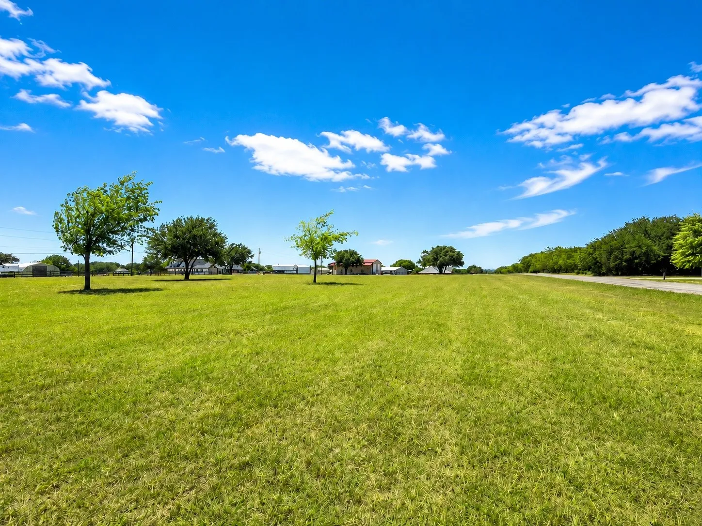 Expansive green lawn with scattered mature trees and a clear blue sky overhead