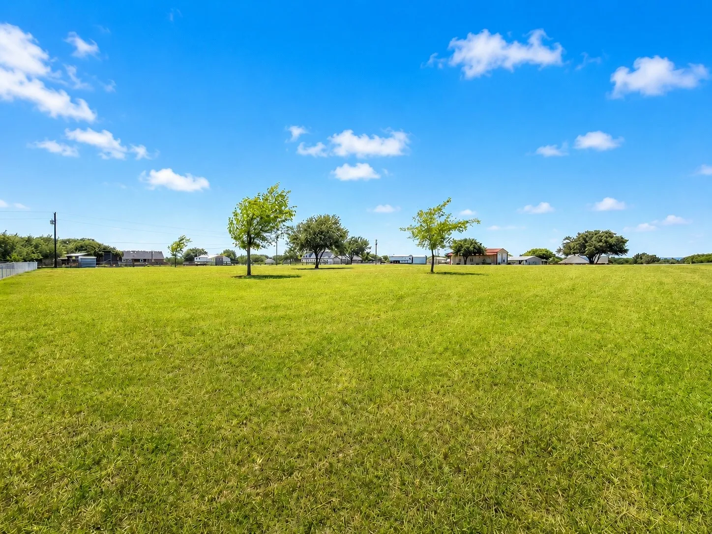 Expansive green lawn with scattered trees under a clear blue sky