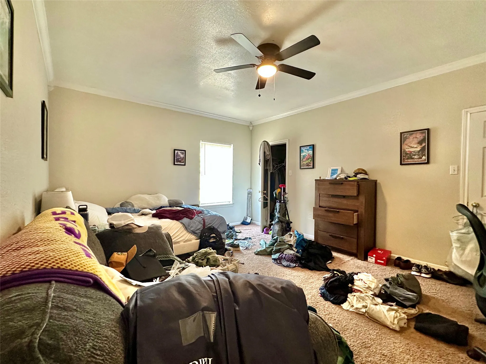 Quadruplex For Rent in Mc Lennan County , 1231 Wood Avenue D, Waco, Texas 76706, 4 Bedroom, 2 Bathroom, Garage spaces, 2,240 Sqft, built in 2003, mls#21316046, Real Estate Agent in Waco, Homes For Rent in Mc Lennan county, Homes For Rent in Waco, Realtor in Waco Texas, Real Estate Brokerage Independent Realty Texas, Luminita Cordes Realtor