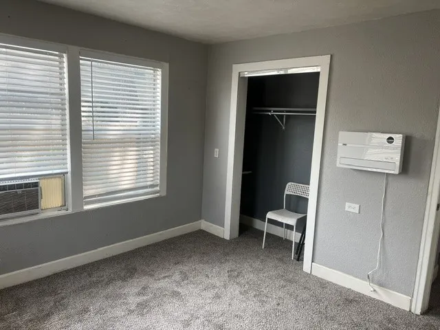 Spacious bedroom featuring neutral gray walls, carpeted flooring, and abundant natural light from dual windows with horizontal blinds