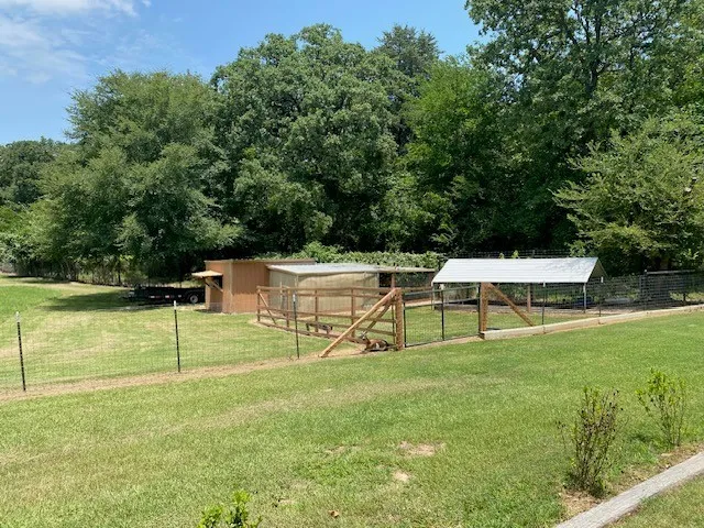 Single Family Residence For Sale in Henderson County , 7695 FM 59, Athens, Texas 75751, 3 Bedroom, 2 Bathroom, 2 Garage spaces, 1,812 Sqft, built in 1985, mls#21315933, Real Estate Agent in Athens, Homes For Sale in Henderson county, Homes For Sale in Athens, Realtor in Athens Texas, Real Estate Brokerage Independent Realty Texas, Luminita Cordes Realtor