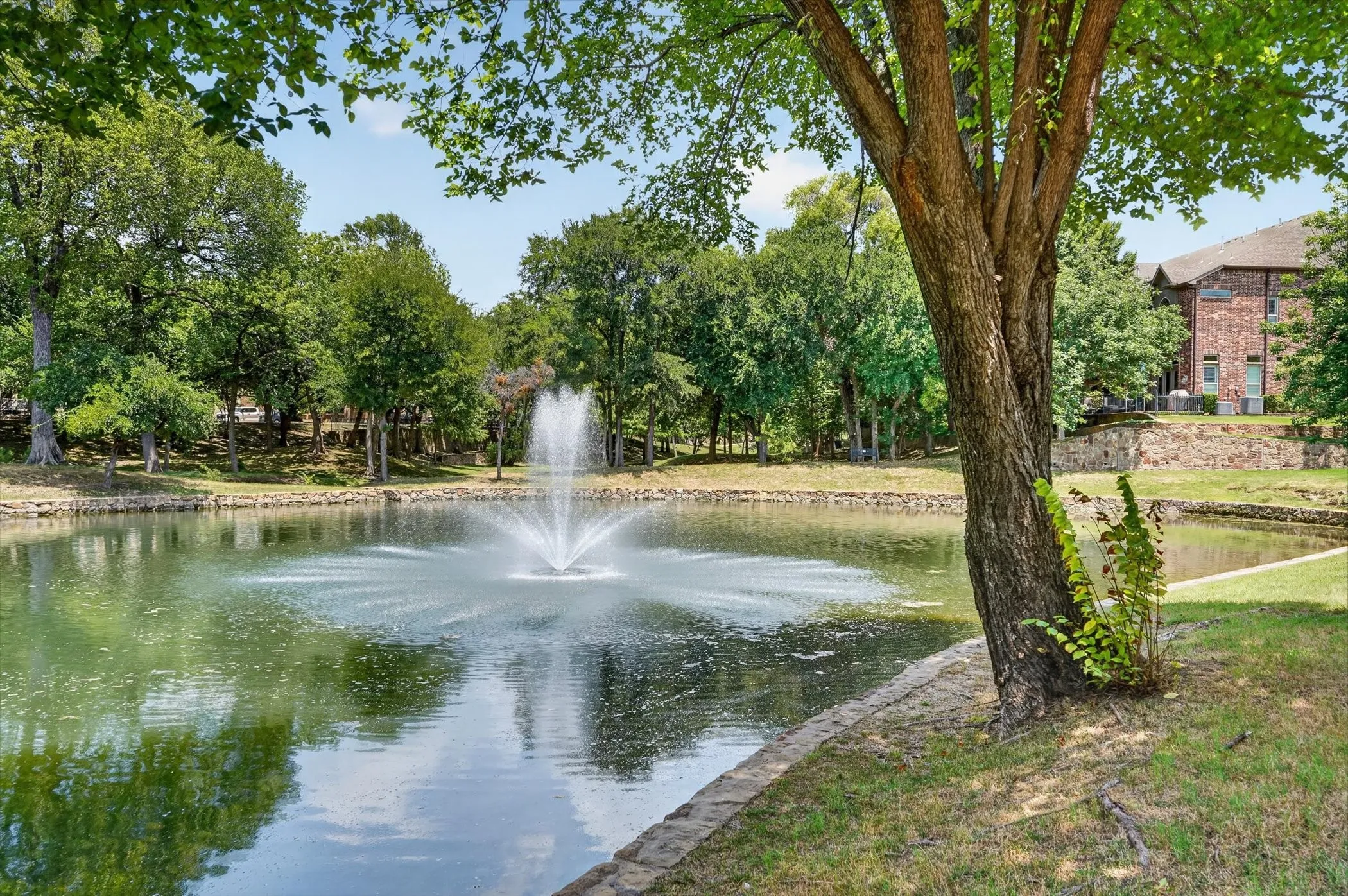 Water view