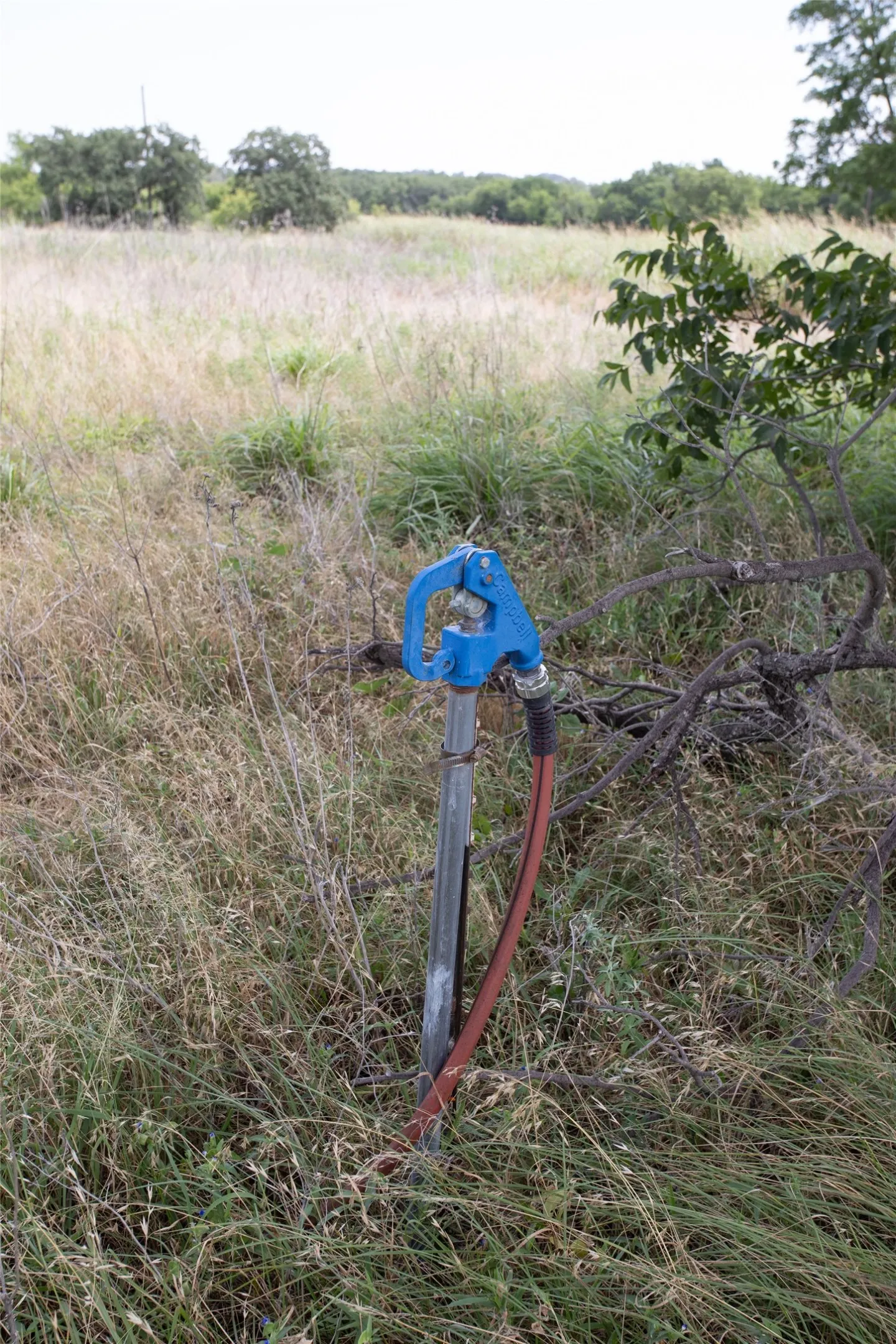 Outdoor water spigot with a blue handle, situated in a field of natural grasses, surrounded by mature trees in the distance