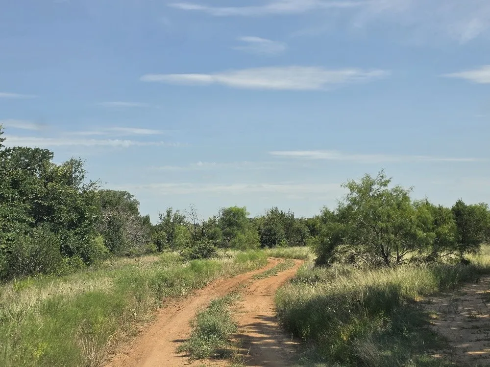 Unimproved Land For Sale in Bosque County , 0000 County Rd 2225, Iredell, Texas 76649, 0, 0, Garage spaces, 0 Sqft, built in 0, mls#21316083, Real Estate Agent in Iredell, Homes For Sale in Bosque county, Homes For Sale in Iredell, Realtor in Iredell Texas, Real Estate Brokerage Independent Realty Texas, Luminita Cordes Realtor
