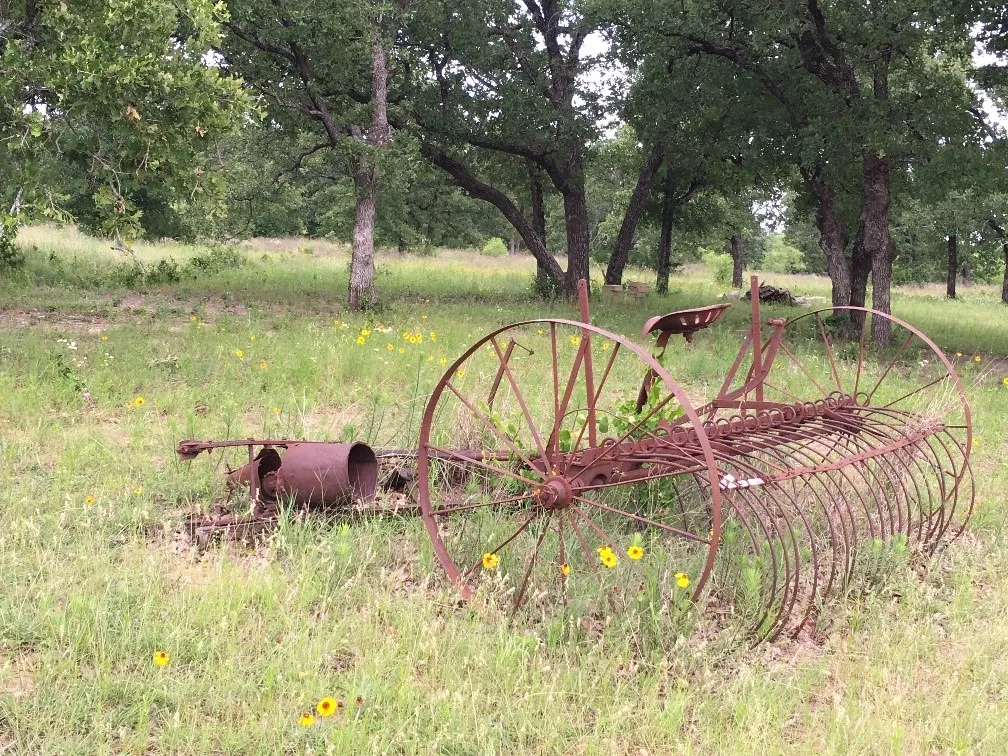 Unimproved Land For Sale in Bosque County , 0000 County Rd 2225, Iredell, Texas 76649, 0, 0, Garage spaces, 0 Sqft, built in 0, mls#21316083, Real Estate Agent in Iredell, Homes For Sale in Bosque county, Homes For Sale in Iredell, Realtor in Iredell Texas, Real Estate Brokerage Independent Realty Texas, Luminita Cordes Realtor