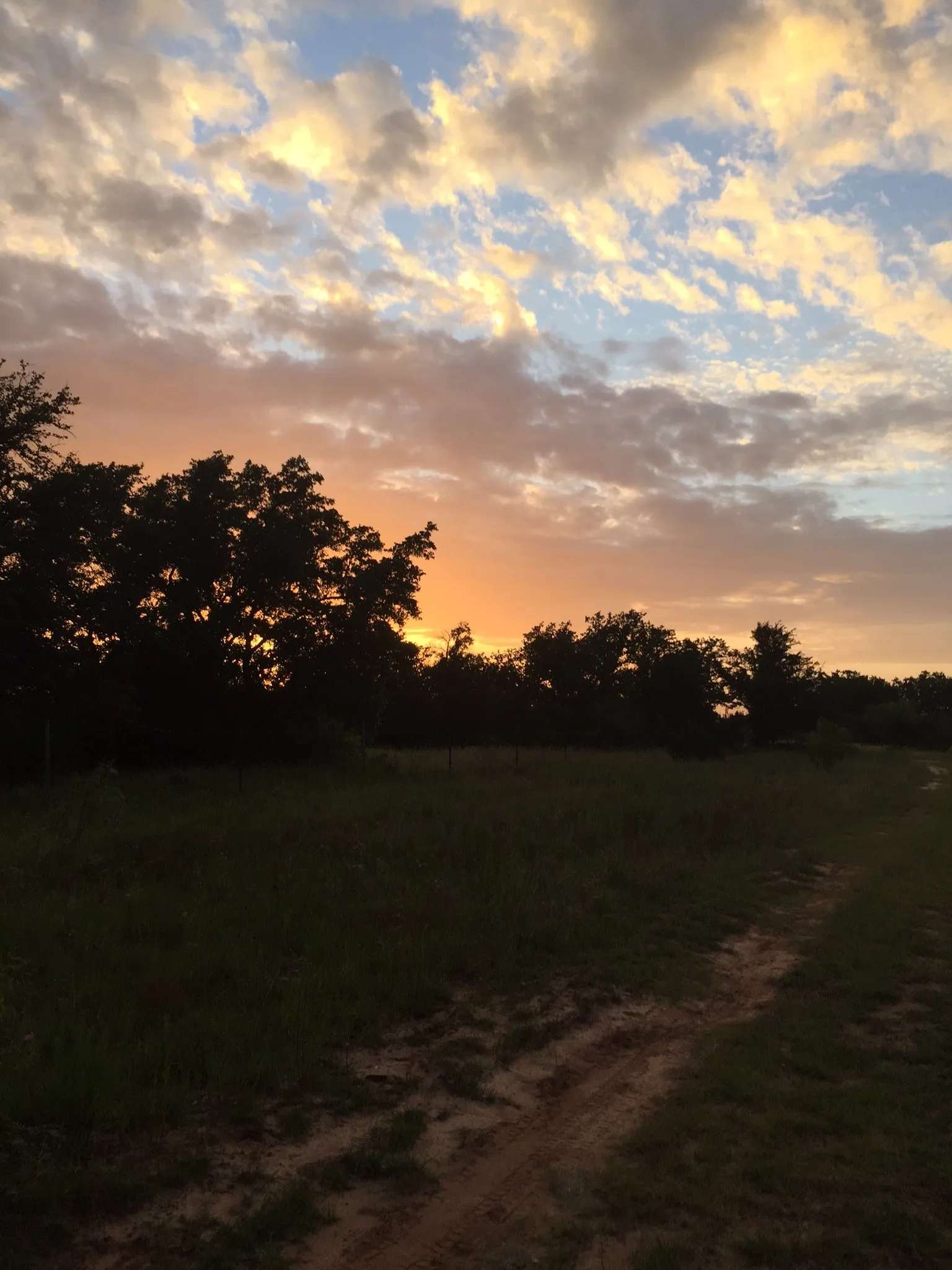 Unimproved Land For Sale in Bosque County , 0000 County Rd 2225, Iredell, Texas 76649, 0, 0, Garage spaces, 0 Sqft, built in 0, mls#21316083, Real Estate Agent in Iredell, Homes For Sale in Bosque county, Homes For Sale in Iredell, Realtor in Iredell Texas, Real Estate Brokerage Independent Realty Texas, Luminita Cordes Realtor