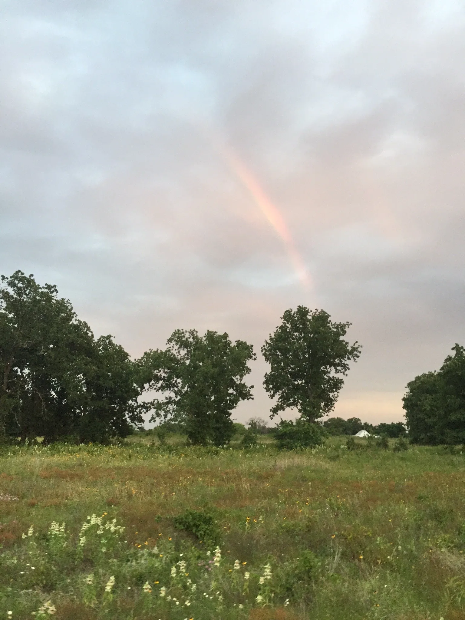 Unimproved Land For Sale in Bosque County , 0001 County Road 2225, Iredell, Texas 76649, 0, 0, Garage spaces, 0 Sqft, built in 0, mls#21316112, Real Estate Agent in Iredell, Homes For Sale in Bosque county, Homes For Sale in Iredell, Realtor in Iredell Texas, Real Estate Brokerage Independent Realty Texas, Luminita Cordes Realtor