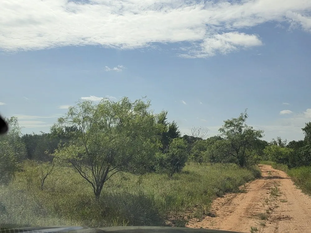 Unimproved Land For Sale in Bosque County , 0001 County Road 2225, Iredell, Texas 76649, 0, 0, Garage spaces, 0 Sqft, built in 0, mls#21316112, Real Estate Agent in Iredell, Homes For Sale in Bosque county, Homes For Sale in Iredell, Realtor in Iredell Texas, Real Estate Brokerage Independent Realty Texas, Luminita Cordes Realtor