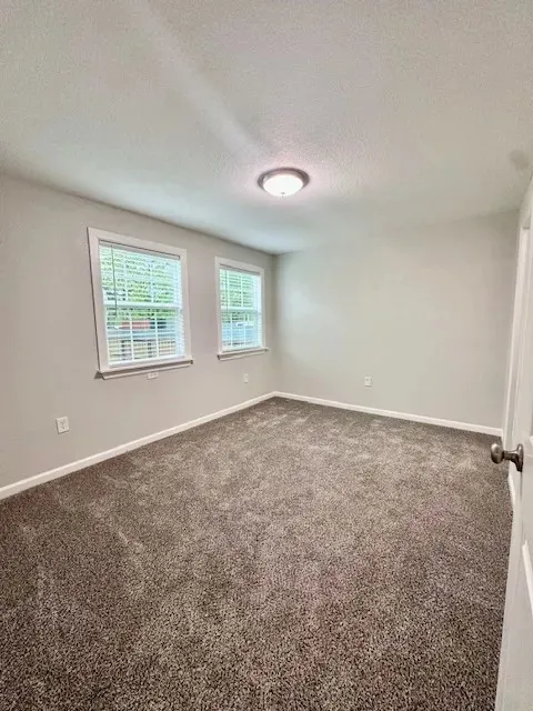 Carpeted interior room featuring light gray wall paint, two windows with white trim, and a flush mount ceiling light fixture