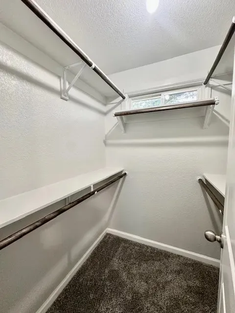 Walk-in closet with plush carpeting and a small window