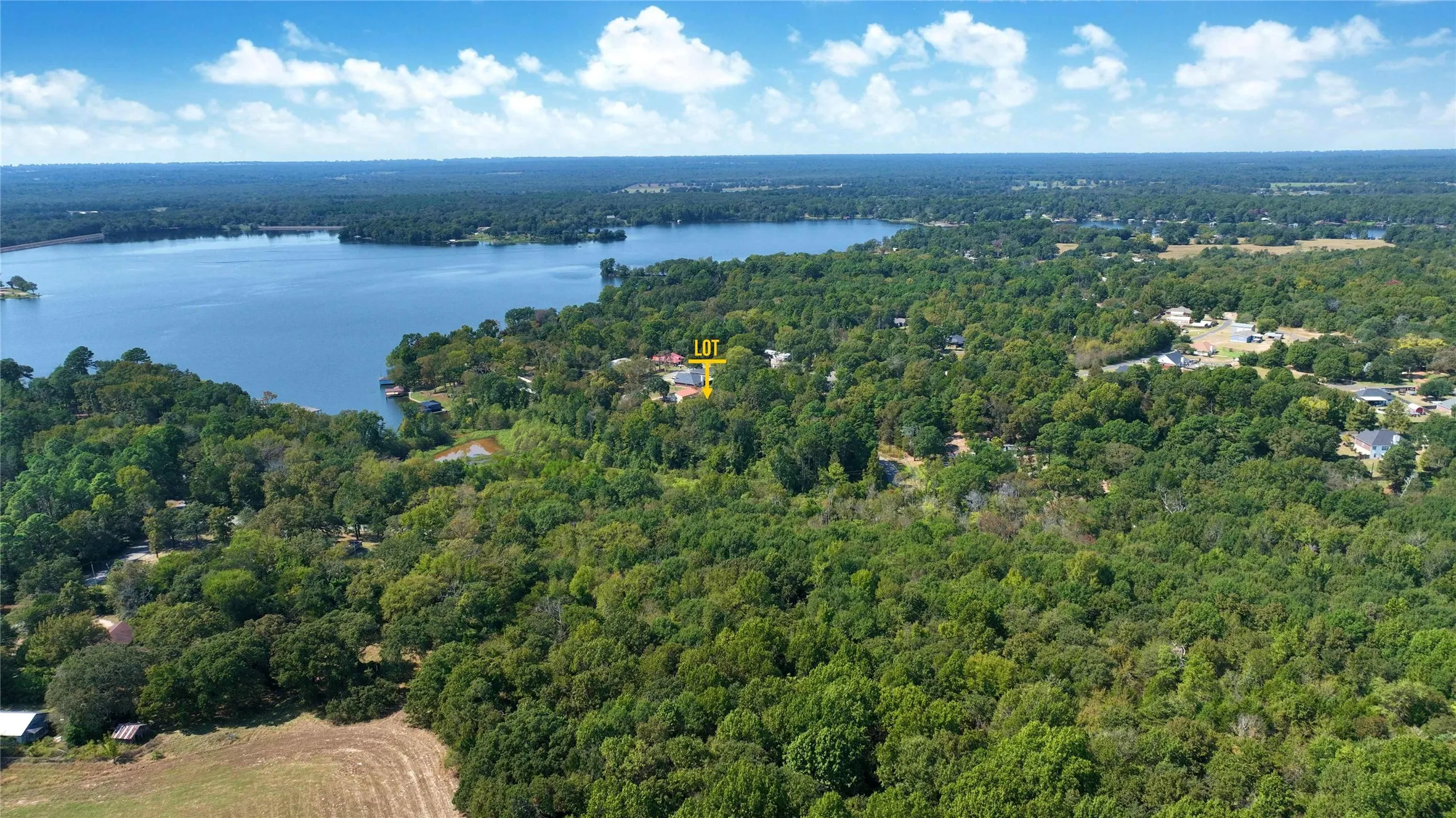 Unimproved Land For Sale in Wood County , 224 County Road 2267, Mineola, Texas 75410, 0, 0, Garage spaces, 0 Sqft, built in 0, mls#21316124, Real Estate Agent in Mineola, Homes For Sale in Wood county, Homes For Sale in Mineola, Realtor in Mineola Texas, Real Estate Brokerage Independent Realty Texas, Luminita Cordes Realtor