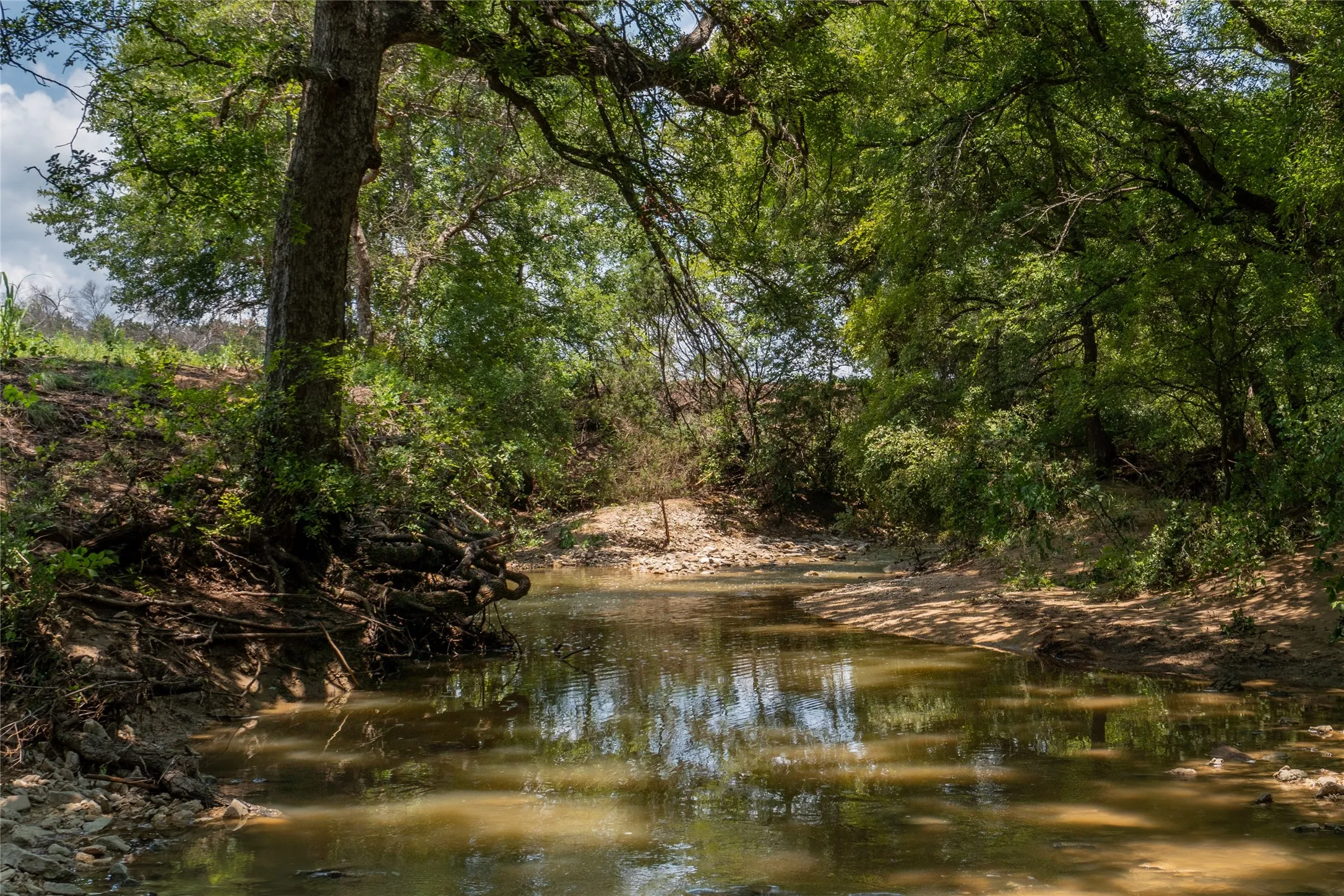 Unimproved Land For Sale in Hood County , 1030 Shiloh Vista Lane, Tolar, Texas 76476, 0, 0, Garage spaces, 0 Sqft, built in 0, mls#21316153, Real Estate Agent in Tolar, Homes For Sale in Hood county, Homes For Sale in Tolar, Realtor in Tolar Texas, Real Estate Brokerage Independent Realty Texas, Luminita Cordes Realtor