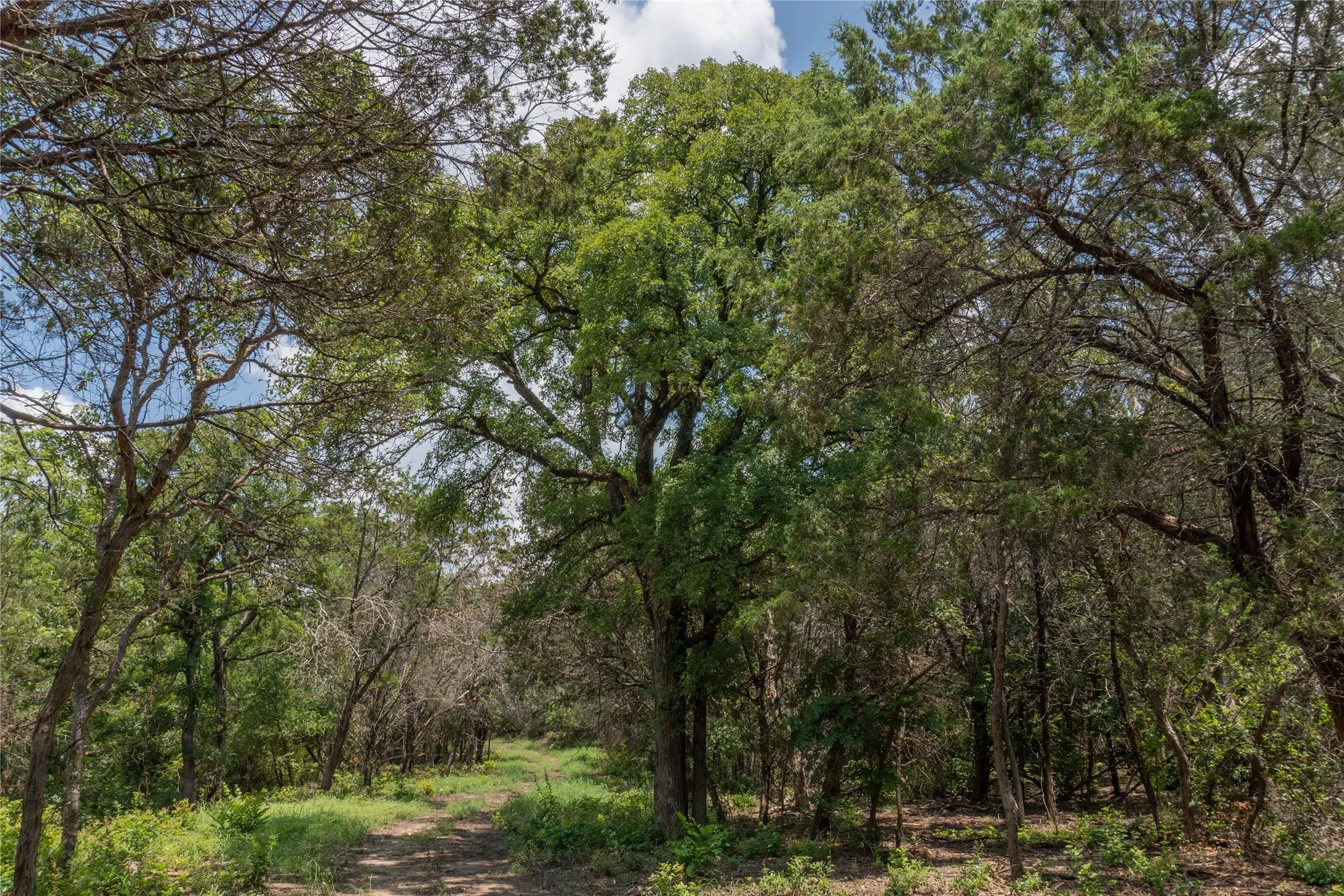 Unimproved Land For Sale in Hood County , 1030 Shiloh Vista Lane, Tolar, Texas 76476, 0, 0, Garage spaces, 0 Sqft, built in 0, mls#21316153, Real Estate Agent in Tolar, Homes For Sale in Hood county, Homes For Sale in Tolar, Realtor in Tolar Texas, Real Estate Brokerage Independent Realty Texas, Luminita Cordes Realtor