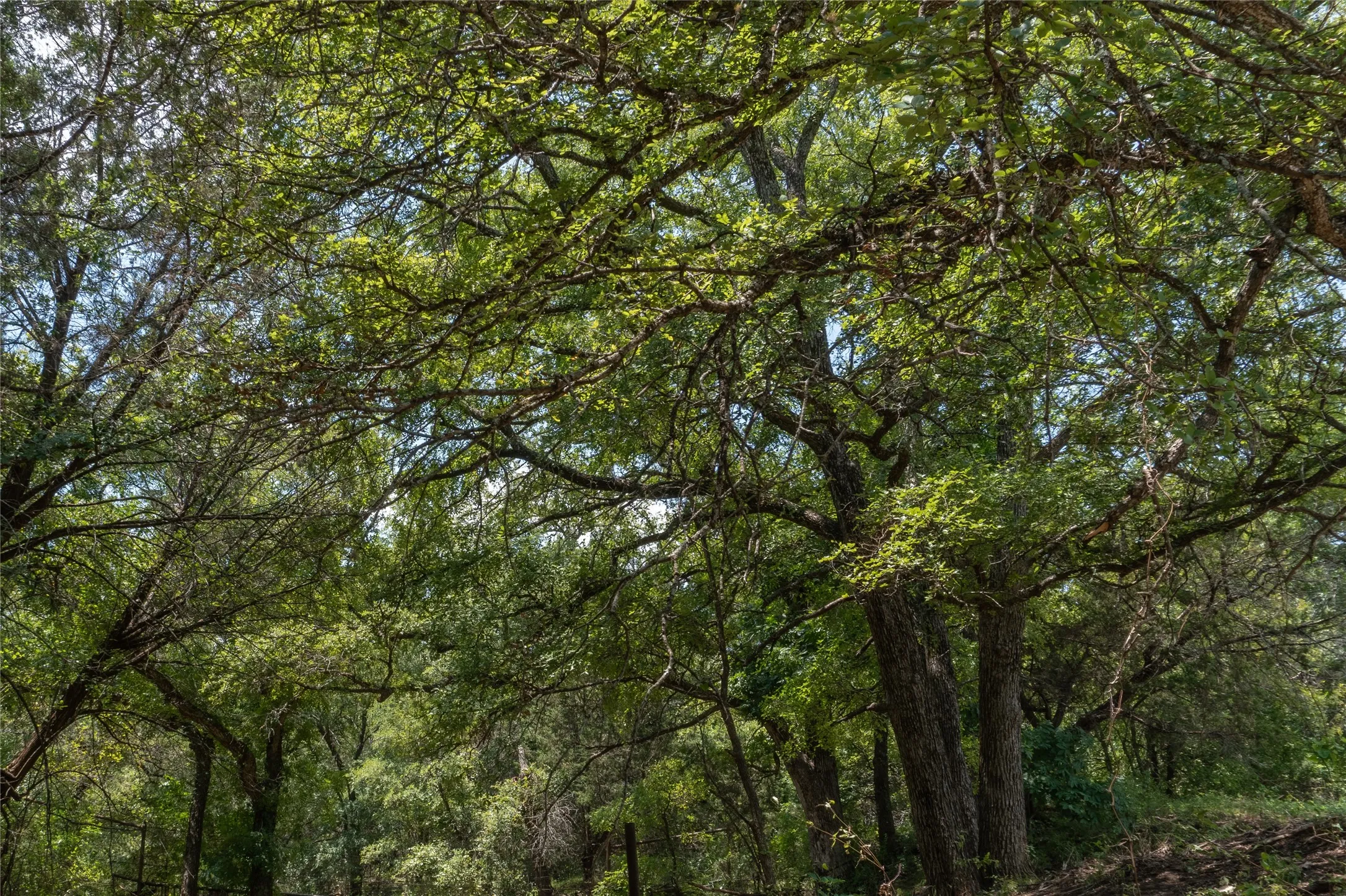 Unimproved Land For Sale in Hood County , 1030 Shiloh Vista Lane, Tolar, Texas 76476, 0, 0, Garage spaces, 0 Sqft, built in 0, mls#21316153, Real Estate Agent in Tolar, Homes For Sale in Hood county, Homes For Sale in Tolar, Realtor in Tolar Texas, Real Estate Brokerage Independent Realty Texas, Luminita Cordes Realtor