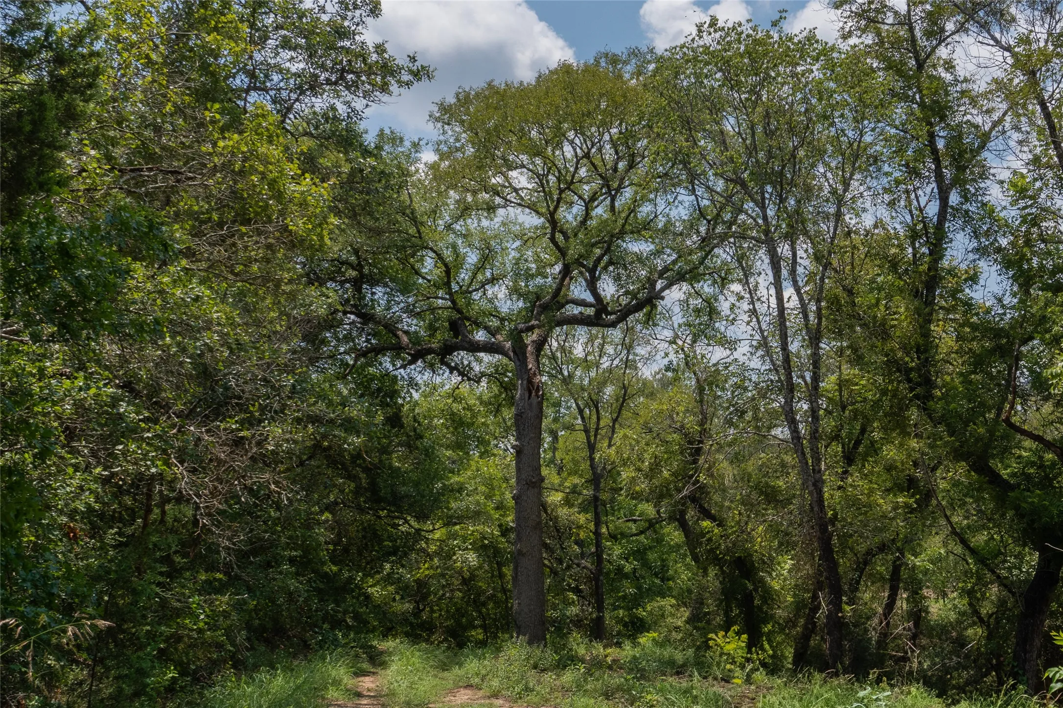Unimproved Land For Sale in Hood County , 1030 Shiloh Vista Lane, Tolar, Texas 76476, 0, 0, Garage spaces, 0 Sqft, built in 0, mls#21316153, Real Estate Agent in Tolar, Homes For Sale in Hood county, Homes For Sale in Tolar, Realtor in Tolar Texas, Real Estate Brokerage Independent Realty Texas, Luminita Cordes Realtor