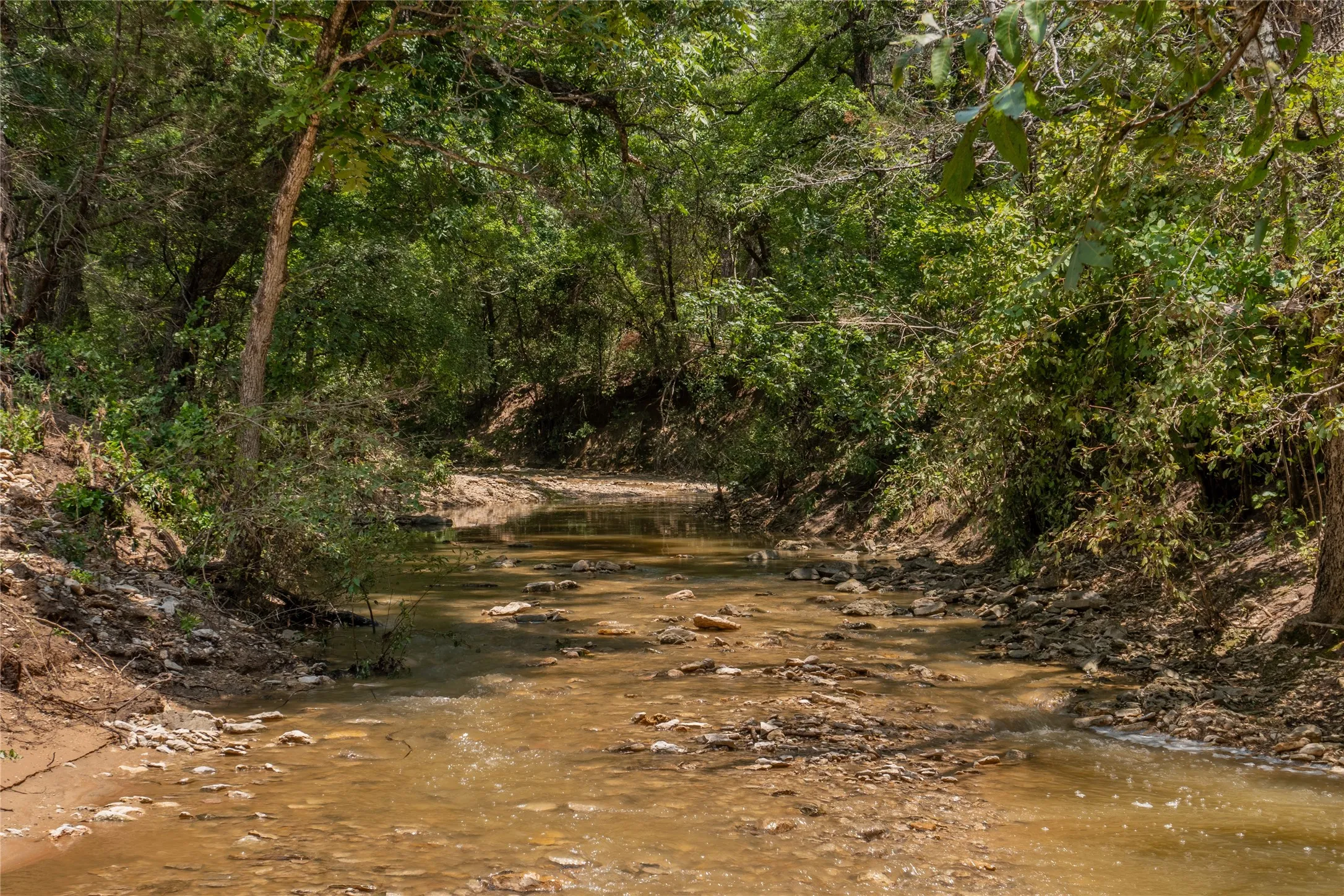 Unimproved Land For Sale in Hood County , 1030 Shiloh Vista Lane, Tolar, Texas 76476, 0, 0, Garage spaces, 0 Sqft, built in 0, mls#21316153, Real Estate Agent in Tolar, Homes For Sale in Hood county, Homes For Sale in Tolar, Realtor in Tolar Texas, Real Estate Brokerage Independent Realty Texas, Luminita Cordes Realtor