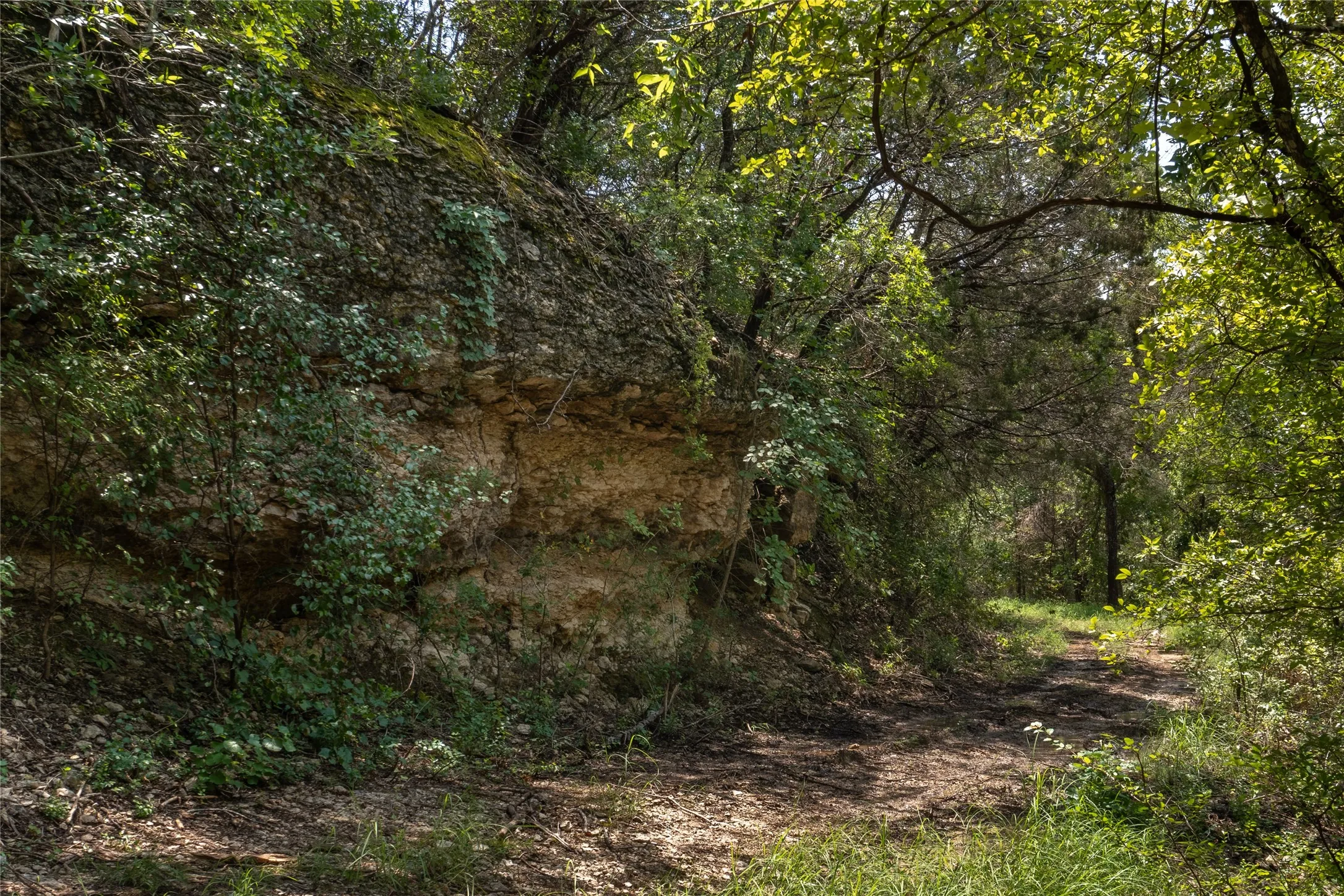 Unimproved Land For Sale in Hood County , 1030 Shiloh Vista Lane, Tolar, Texas 76476, 0, 0, Garage spaces, 0 Sqft, built in 0, mls#21316153, Real Estate Agent in Tolar, Homes For Sale in Hood county, Homes For Sale in Tolar, Realtor in Tolar Texas, Real Estate Brokerage Independent Realty Texas, Luminita Cordes Realtor