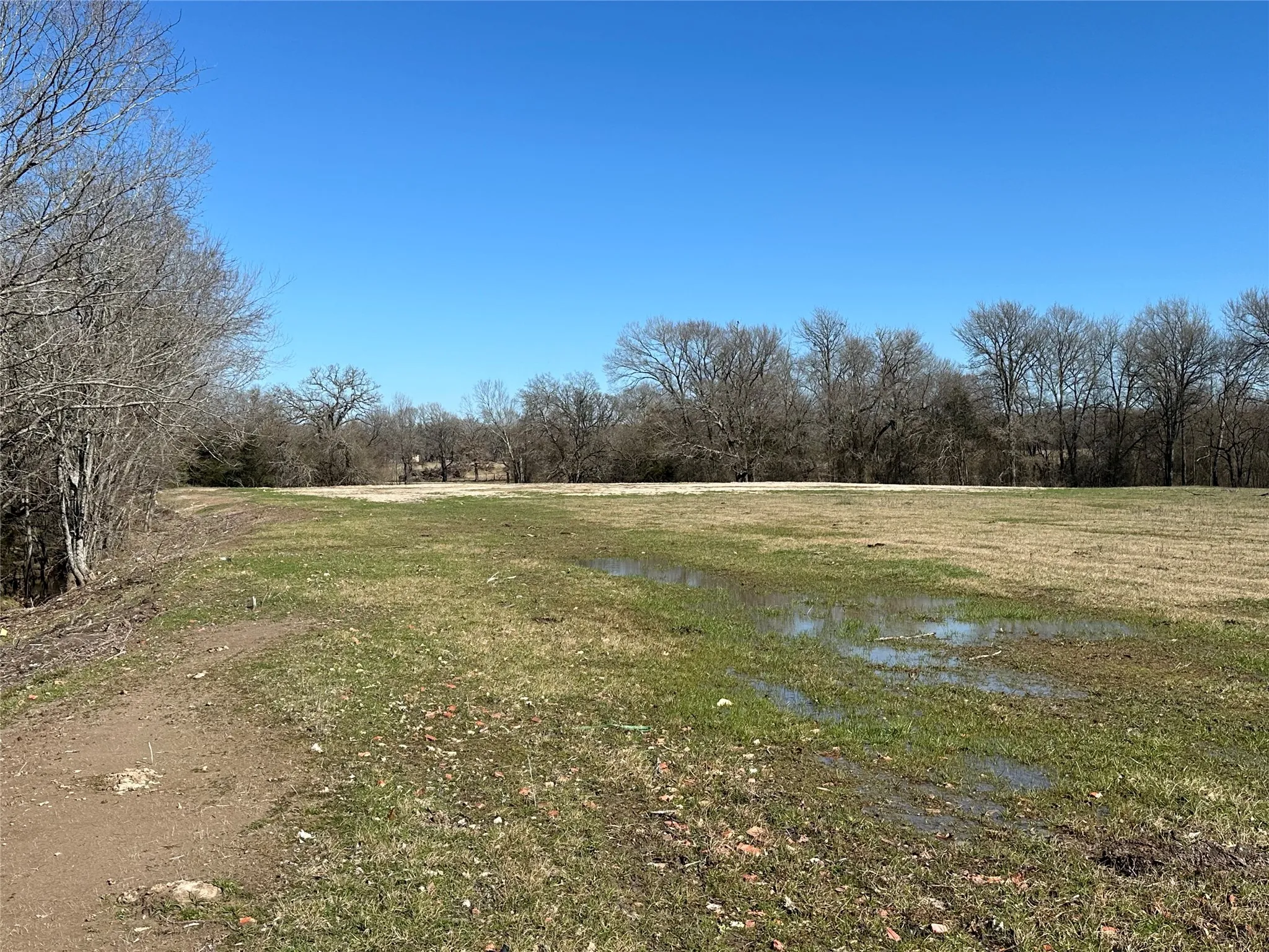 Unimproved Land For Sale in Hunt County , Tract 6 Co Rd 3103, Greenville, Texas 75402, 0, 0, Garage spaces, 0 Sqft, built in 0, mls#21316191, Real Estate Agent in Greenville, Homes For Sale in Hunt county, Homes For Sale in Greenville, Realtor in Greenville Texas, Real Estate Brokerage Independent Realty Texas, Luminita Cordes Realtor