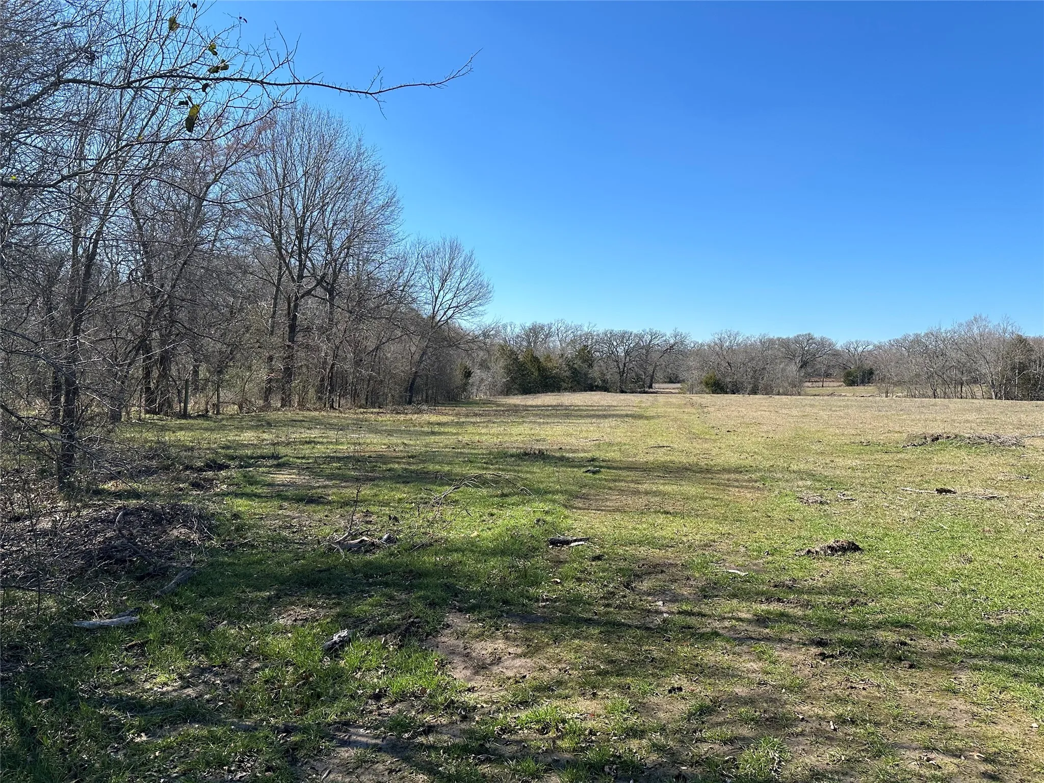 Unimproved Land For Sale in Hunt County , Tract 6 Co Rd 3103, Greenville, Texas 75402, 0, 0, Garage spaces, 0 Sqft, built in 0, mls#21316191, Real Estate Agent in Greenville, Homes For Sale in Hunt county, Homes For Sale in Greenville, Realtor in Greenville Texas, Real Estate Brokerage Independent Realty Texas, Luminita Cordes Realtor