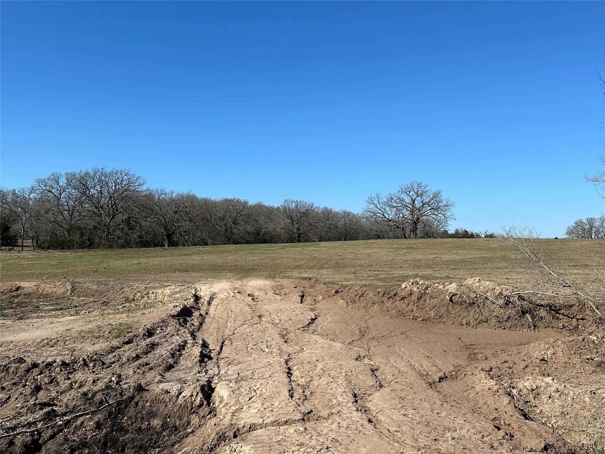 Unimproved Land For Sale in Hunt County , Tract 6 Co Rd 3103, Greenville, Texas 75402, 0, 0, Garage spaces, 0 Sqft, built in 0, mls#21316191, Real Estate Agent in Greenville, Homes For Sale in Hunt county, Homes For Sale in Greenville, Realtor in Greenville Texas, Real Estate Brokerage Independent Realty Texas, Luminita Cordes Realtor