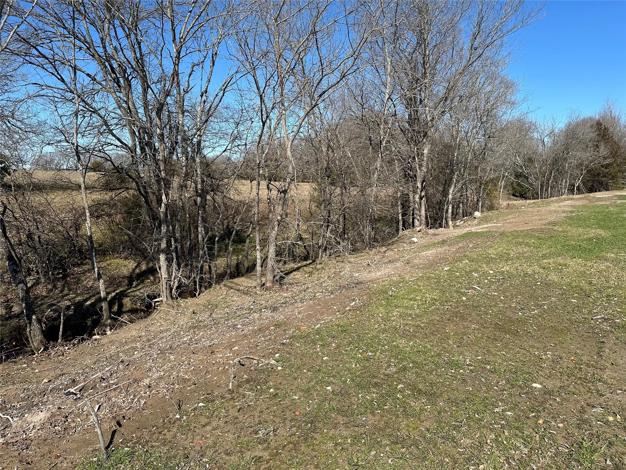 Unimproved Land For Sale in Hunt County , Tract 6 Co Rd 3103, Greenville, Texas 75402, 0, 0, Garage spaces, 0 Sqft, built in 0, mls#21316191, Real Estate Agent in Greenville, Homes For Sale in Hunt county, Homes For Sale in Greenville, Realtor in Greenville Texas, Real Estate Brokerage Independent Realty Texas, Luminita Cordes Realtor