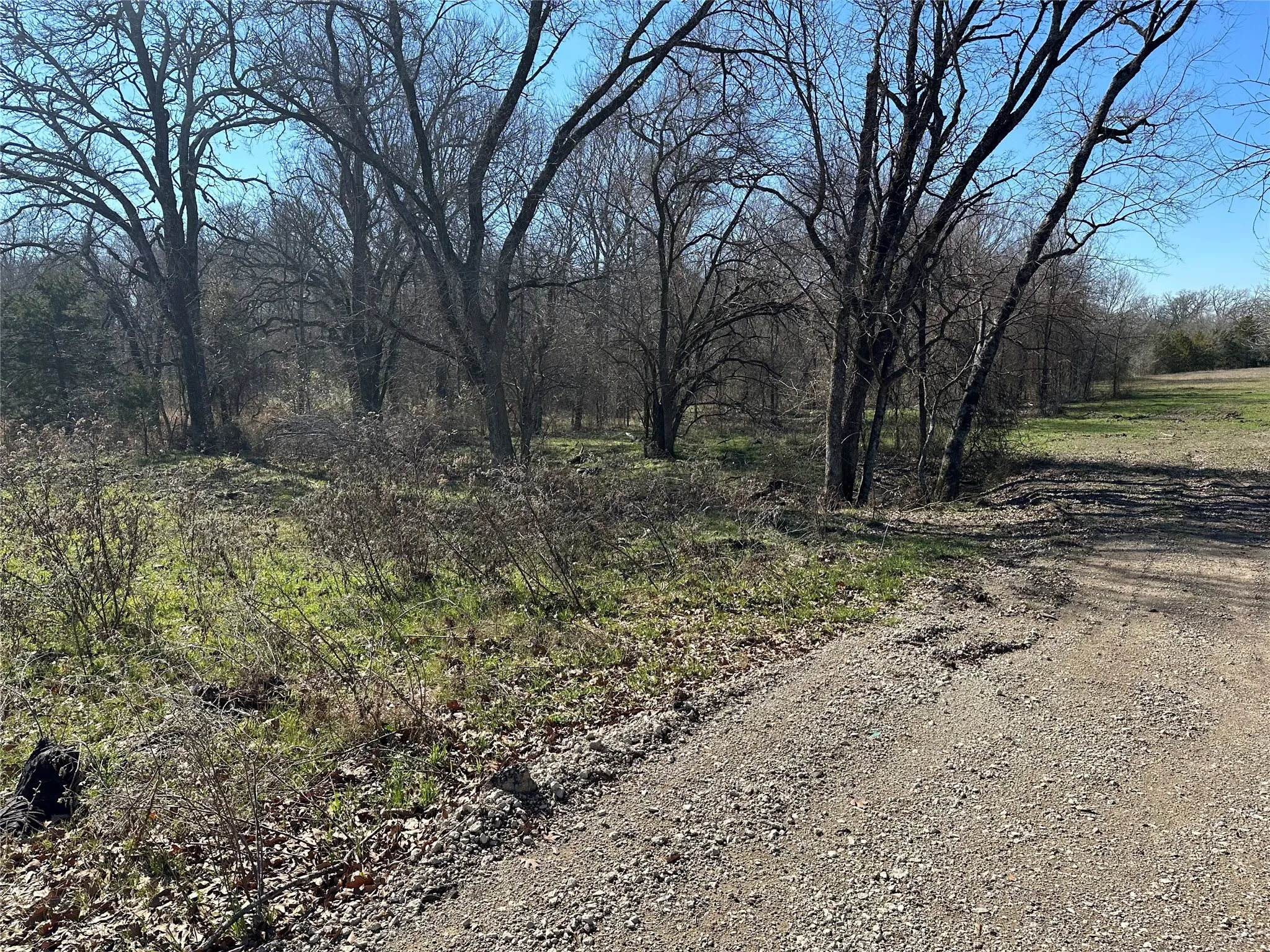 Unimproved Land For Sale in Hunt County , Tract 6 Co Rd 3103, Greenville, Texas 75402, 0, 0, Garage spaces, 0 Sqft, built in 0, mls#21316191, Real Estate Agent in Greenville, Homes For Sale in Hunt county, Homes For Sale in Greenville, Realtor in Greenville Texas, Real Estate Brokerage Independent Realty Texas, Luminita Cordes Realtor