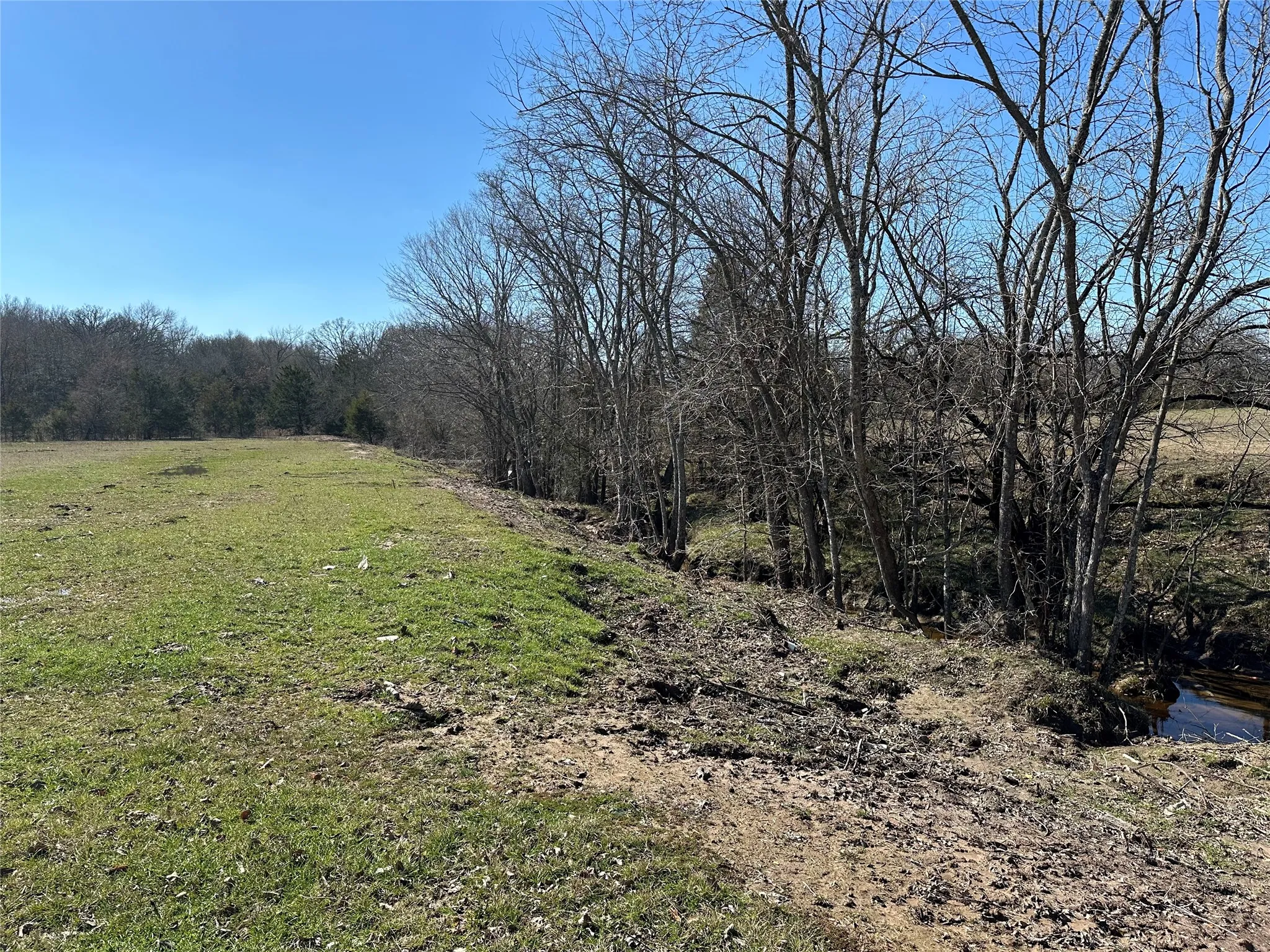 Unimproved Land For Sale in Hunt County , Tract 6 Co Rd 3103, Greenville, Texas 75402, 0, 0, Garage spaces, 0 Sqft, built in 0, mls#21316191, Real Estate Agent in Greenville, Homes For Sale in Hunt county, Homes For Sale in Greenville, Realtor in Greenville Texas, Real Estate Brokerage Independent Realty Texas, Luminita Cordes Realtor