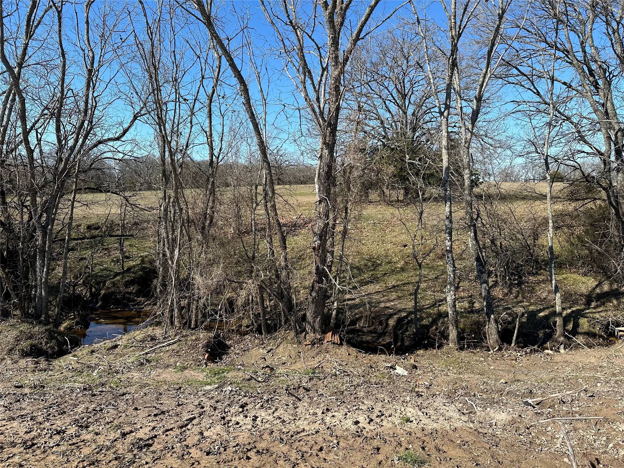 Unimproved Land For Sale in Hunt County , Tract 6 Co Rd 3103, Greenville, Texas 75402, 0, 0, Garage spaces, 0 Sqft, built in 0, mls#21316191, Real Estate Agent in Greenville, Homes For Sale in Hunt county, Homes For Sale in Greenville, Realtor in Greenville Texas, Real Estate Brokerage Independent Realty Texas, Luminita Cordes Realtor