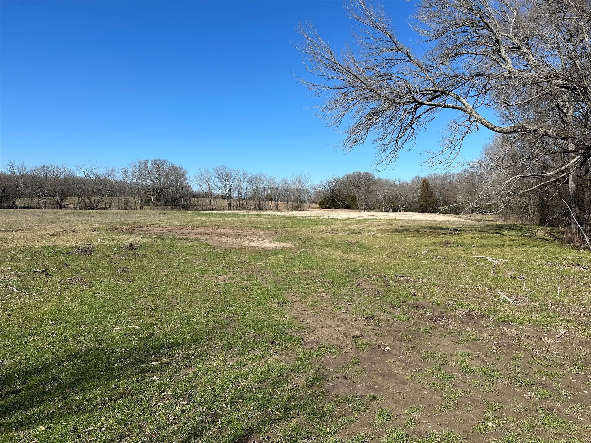 Unimproved Land For Sale in Hunt County , Tract 6 Co Rd 3103, Greenville, Texas 75402, 0, 0, Garage spaces, 0 Sqft, built in 0, mls#21316191, Real Estate Agent in Greenville, Homes For Sale in Hunt county, Homes For Sale in Greenville, Realtor in Greenville Texas, Real Estate Brokerage Independent Realty Texas, Luminita Cordes Realtor