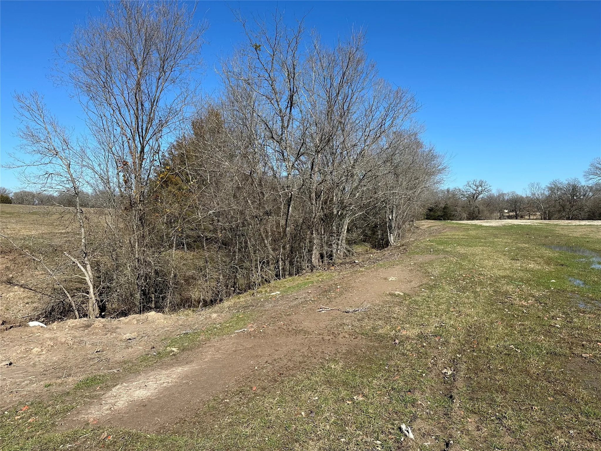 Unimproved Land For Sale in Hunt County , Tract 6 Co Rd 3103, Greenville, Texas 75402, 0, 0, Garage spaces, 0 Sqft, built in 0, mls#21316191, Real Estate Agent in Greenville, Homes For Sale in Hunt county, Homes For Sale in Greenville, Realtor in Greenville Texas, Real Estate Brokerage Independent Realty Texas, Luminita Cordes Realtor