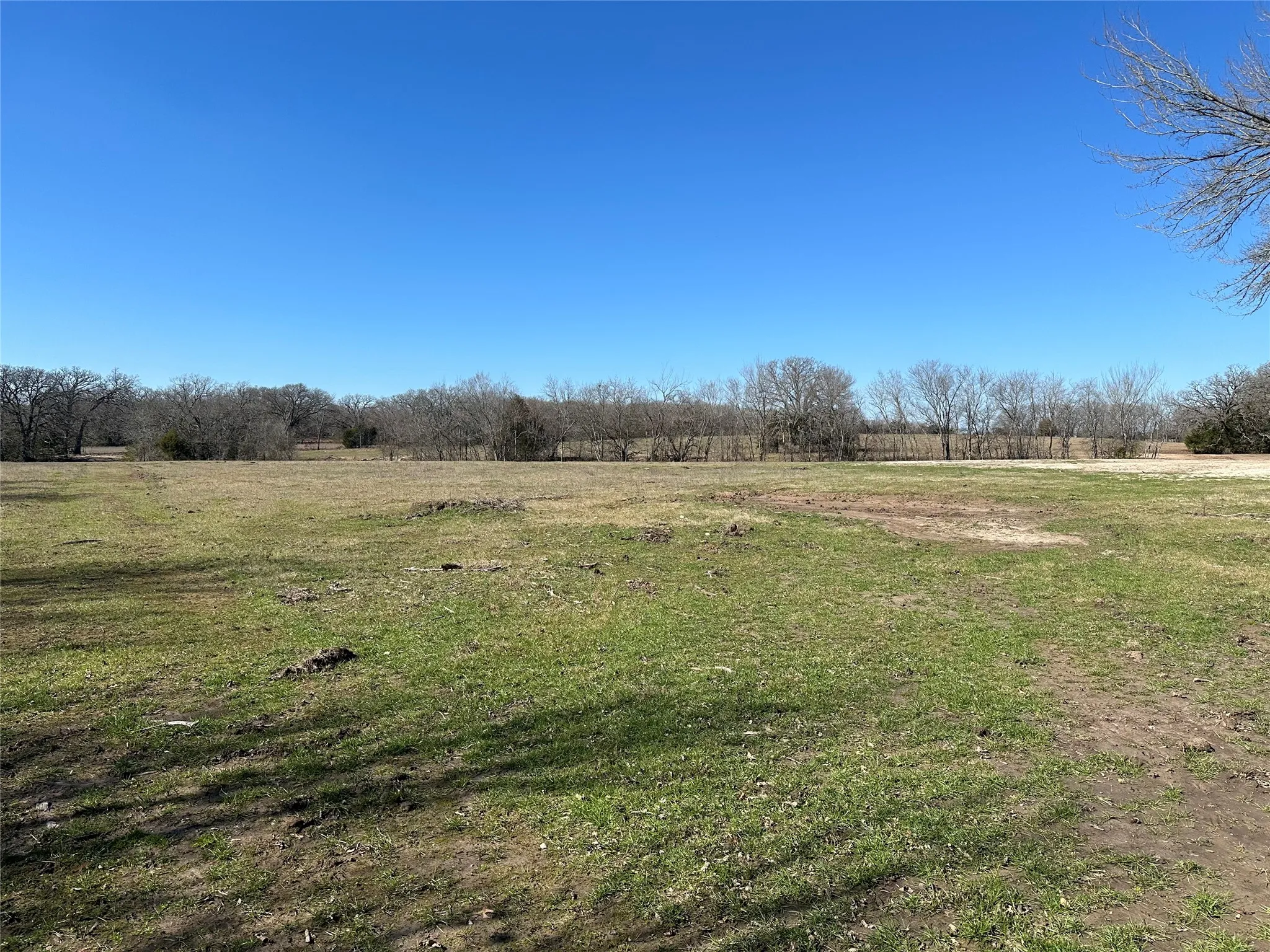 Unimproved Land For Sale in Hunt County , Tract 6 Co Rd 3103, Greenville, Texas 75402, 0, 0, Garage spaces, 0 Sqft, built in 0, mls#21316191, Real Estate Agent in Greenville, Homes For Sale in Hunt county, Homes For Sale in Greenville, Realtor in Greenville Texas, Real Estate Brokerage Independent Realty Texas, Luminita Cordes Realtor
