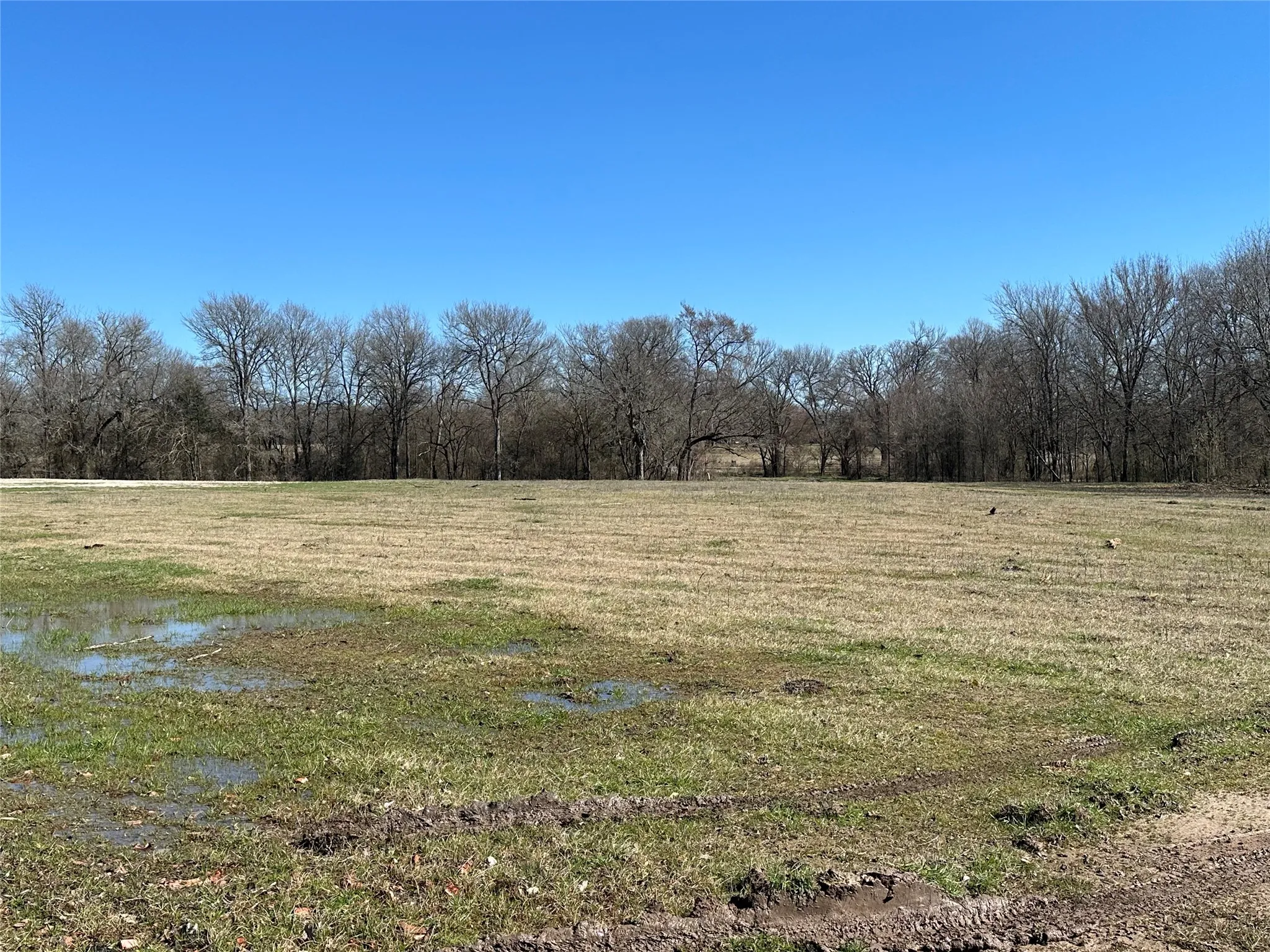 Unimproved Land For Sale in Hunt County , Tract 6 Co Rd 3103, Greenville, Texas 75402, 0, 0, Garage spaces, 0 Sqft, built in 0, mls#21316191, Real Estate Agent in Greenville, Homes For Sale in Hunt county, Homes For Sale in Greenville, Realtor in Greenville Texas, Real Estate Brokerage Independent Realty Texas, Luminita Cordes Realtor