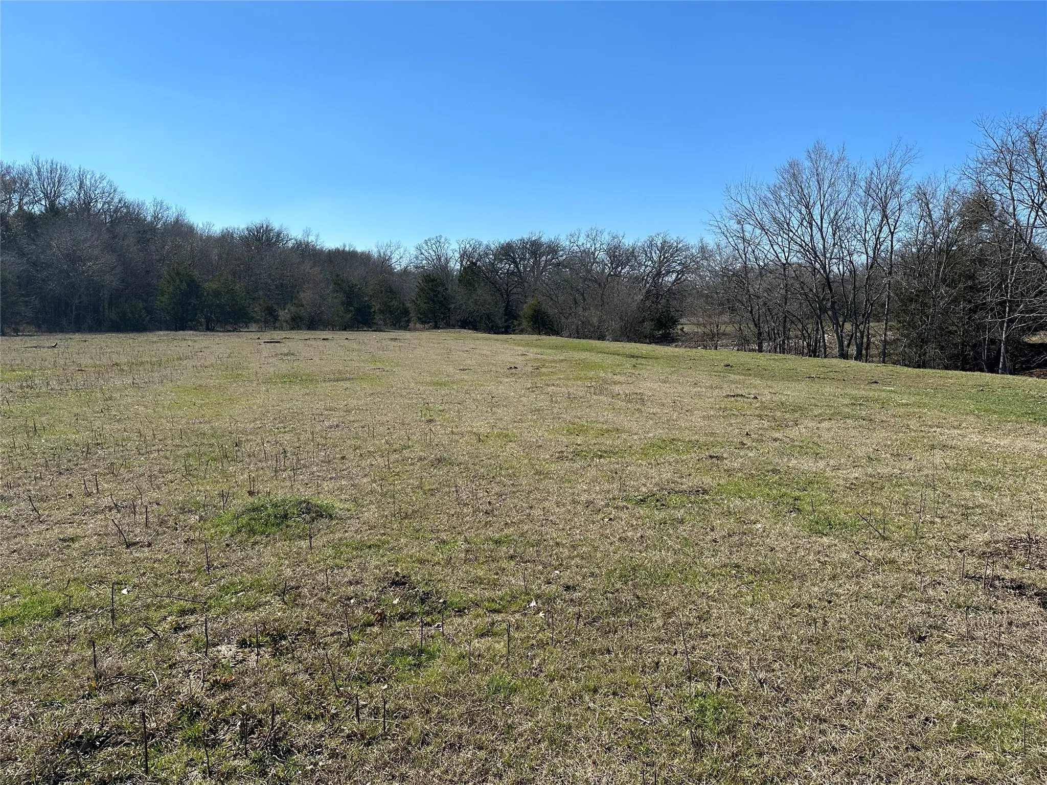 Unimproved Land For Sale in Hunt County , Tract 6 Co Rd 3103, Greenville, Texas 75402, 0, 0, Garage spaces, 0 Sqft, built in 0, mls#21316191, Real Estate Agent in Greenville, Homes For Sale in Hunt county, Homes For Sale in Greenville, Realtor in Greenville Texas, Real Estate Brokerage Independent Realty Texas, Luminita Cordes Realtor