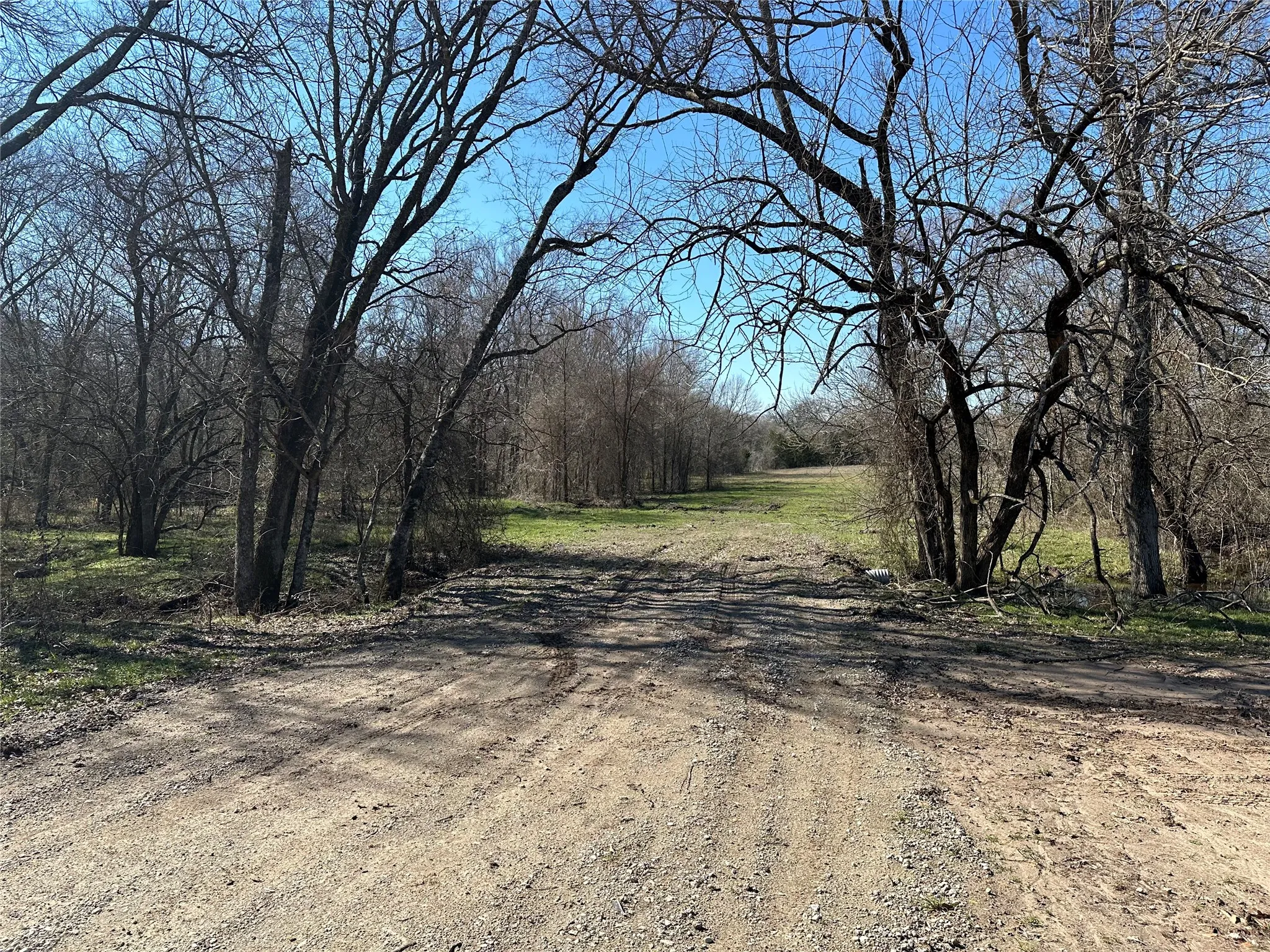 Unimproved Land For Sale in Hunt County , Tract 6 Co Rd 3103, Greenville, Texas 75402, 0, 0, Garage spaces, 0 Sqft, built in 0, mls#21316191, Real Estate Agent in Greenville, Homes For Sale in Hunt county, Homes For Sale in Greenville, Realtor in Greenville Texas, Real Estate Brokerage Independent Realty Texas, Luminita Cordes Realtor