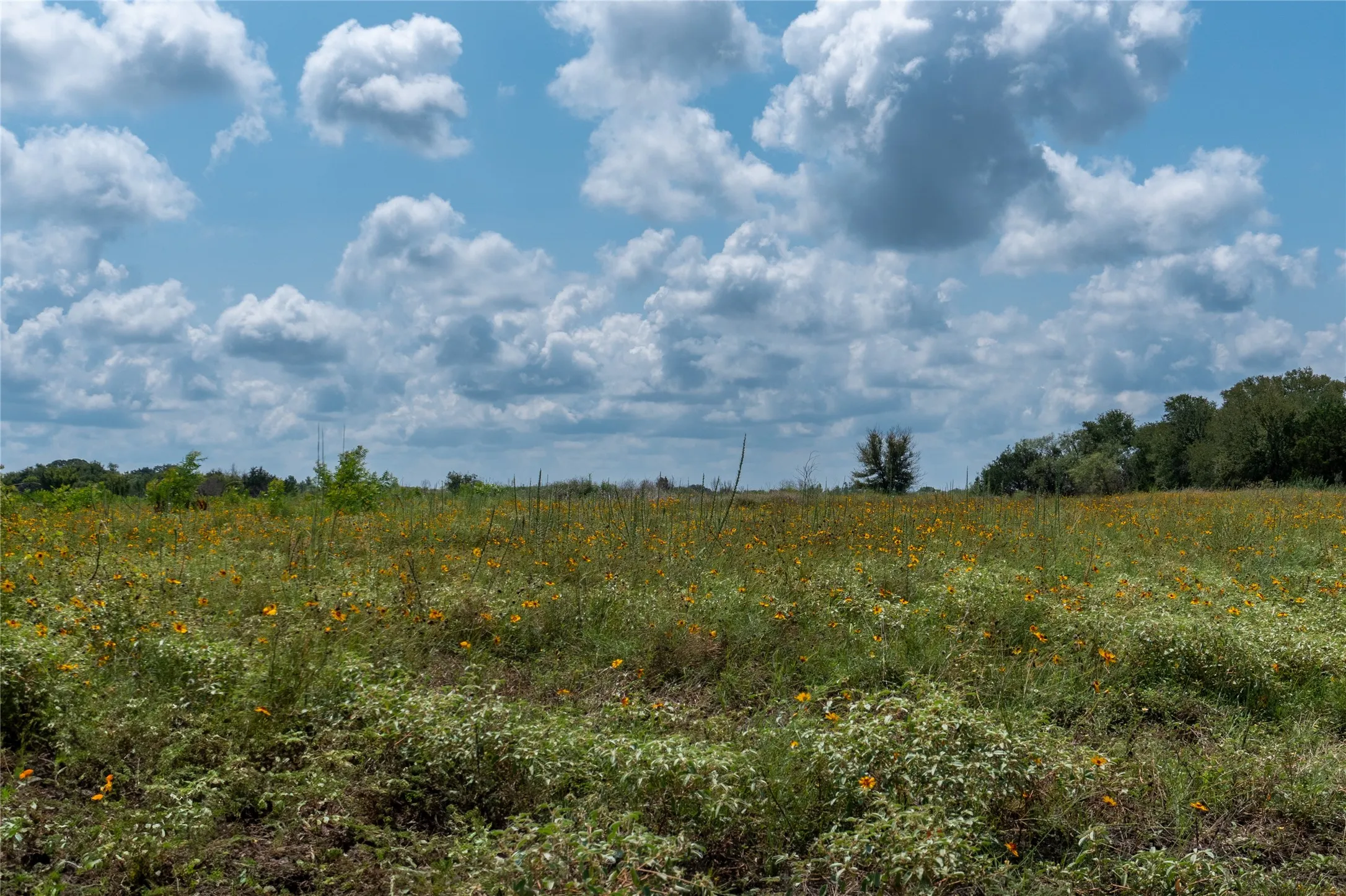 Unimproved Land For Sale in Hood County , 1061 Shiloh Vista Lane, Tolar, Texas 76476, 0, 0, Garage spaces, 0 Sqft, built in 0, mls#21316207, Real Estate Agent in Tolar, Homes For Sale in Hood county, Homes For Sale in Tolar, Realtor in Tolar Texas, Real Estate Brokerage Independent Realty Texas, Luminita Cordes Realtor